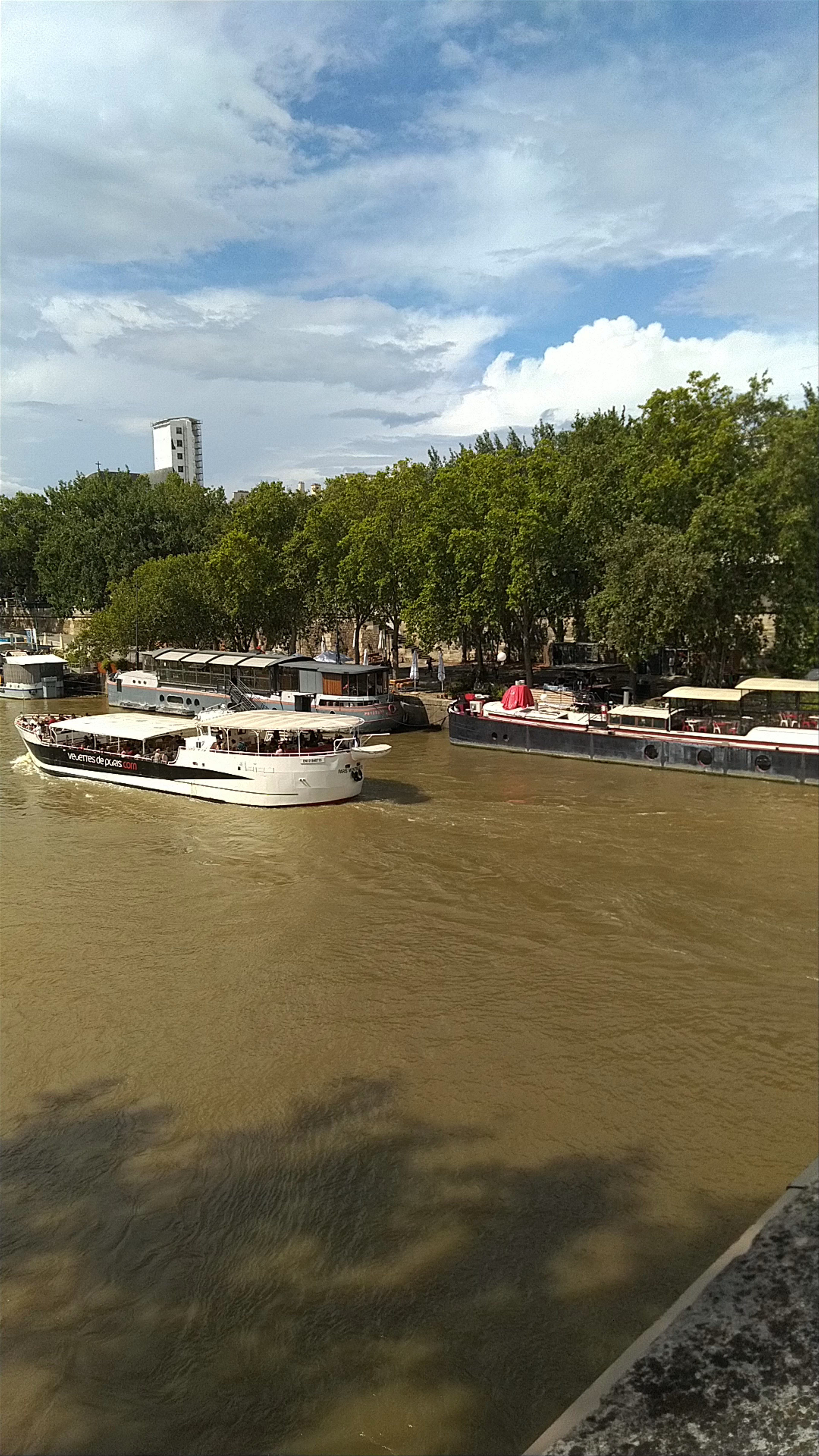Pont Marie: Serene Seine River Views in the Heart of Paris