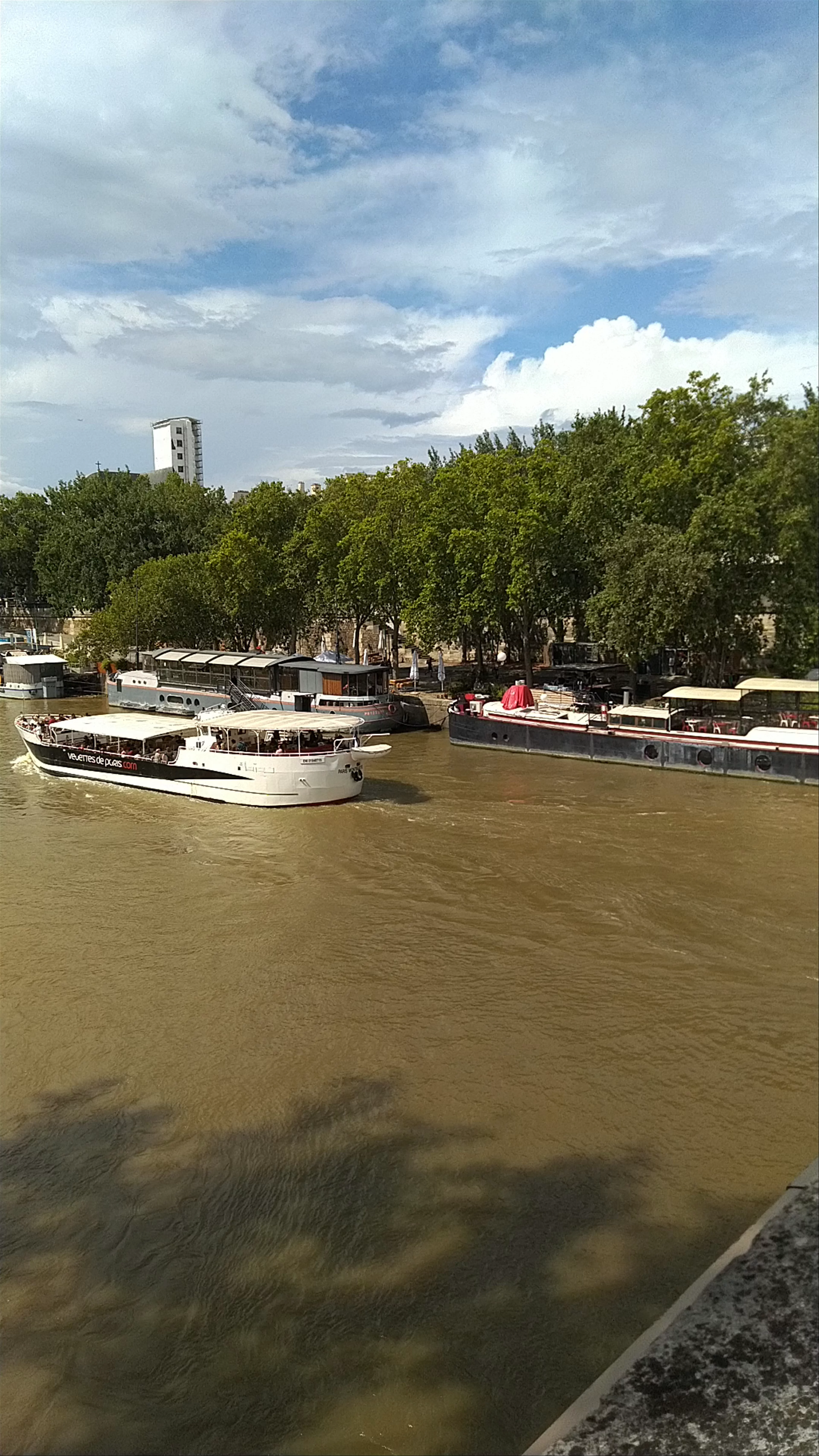 Pont Marie