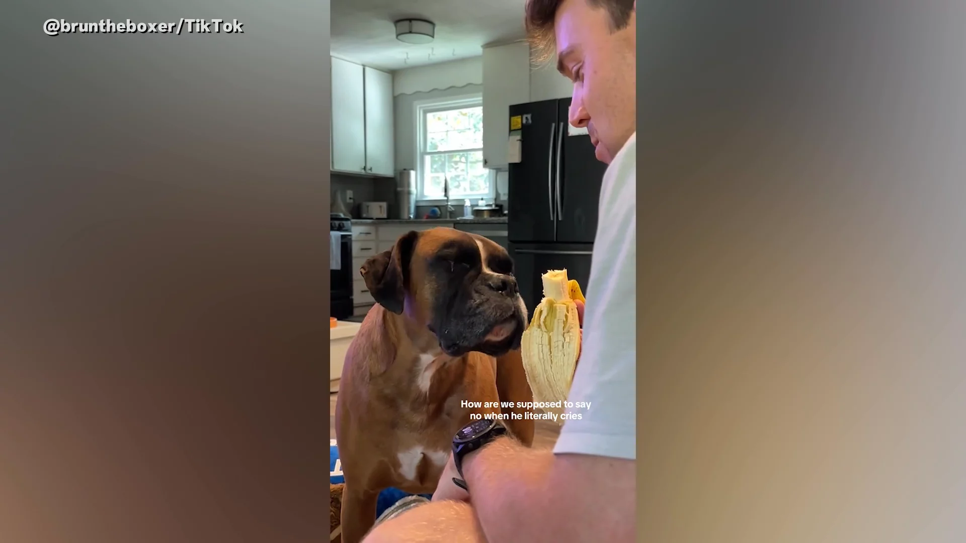 50 Sales Memes That Hit Home for All Sales Professionals | PhoneBurner, image size:1920x1080