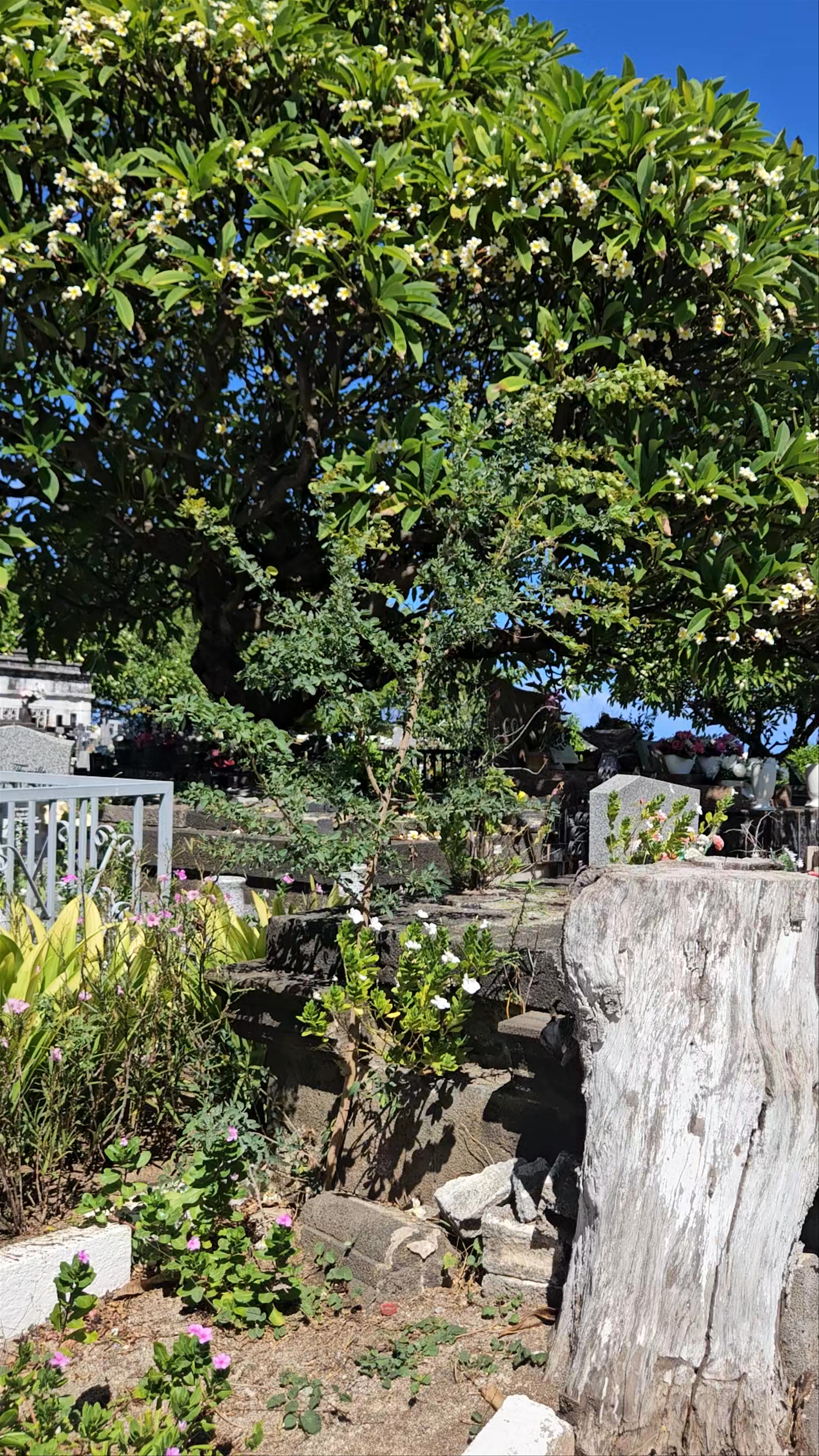 Cimetière de Saint-Leu