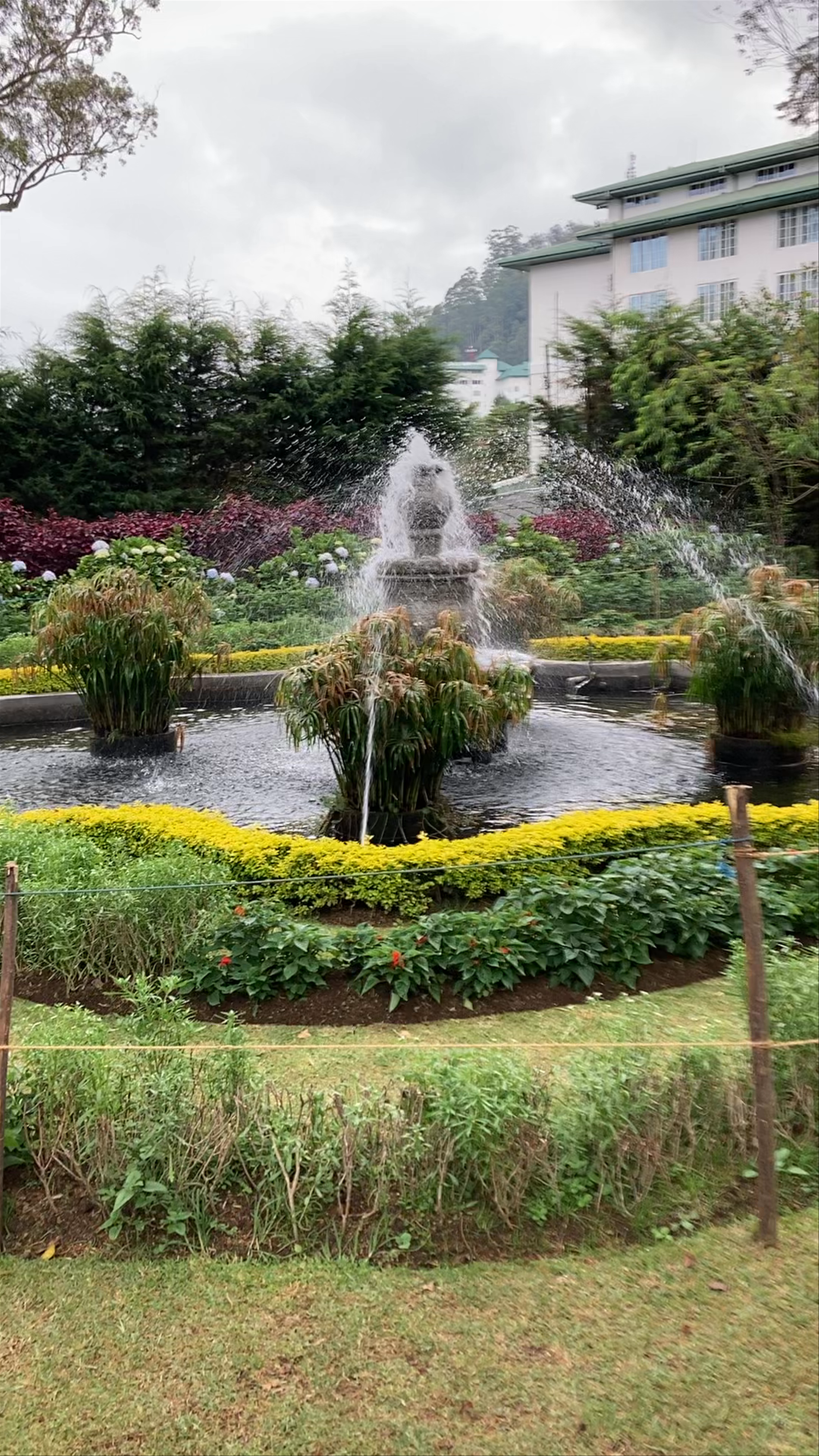 The Grand Hotel Gardens: Lush Topiary and Serene Fountains in Nuwara Eliya