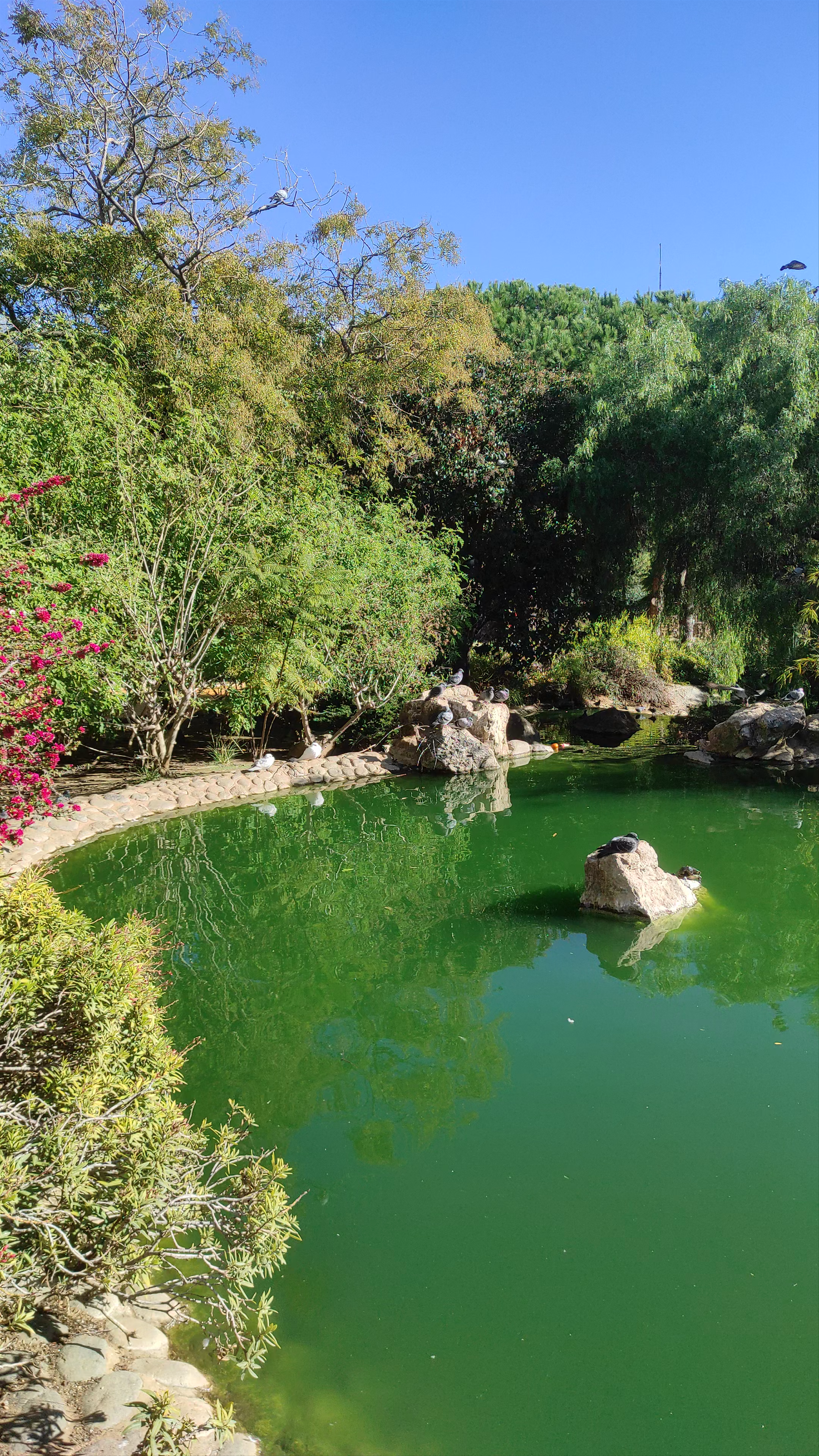 Parque de la Represa