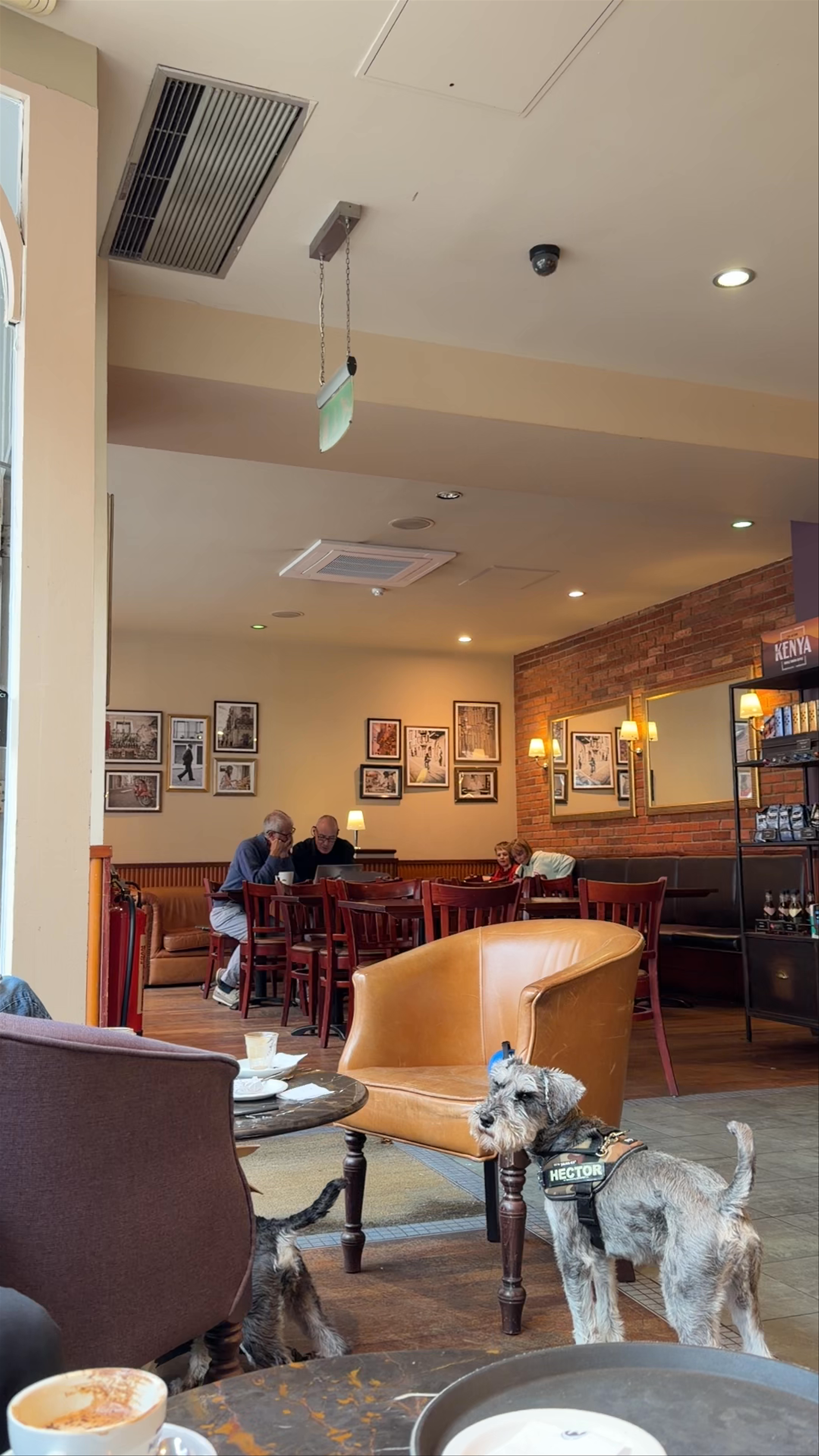 Caffè Nero