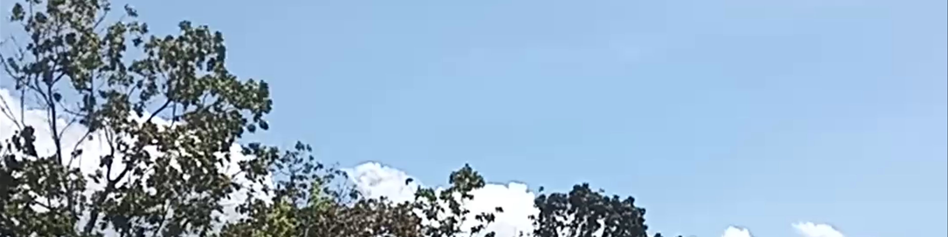 Kampung Kok