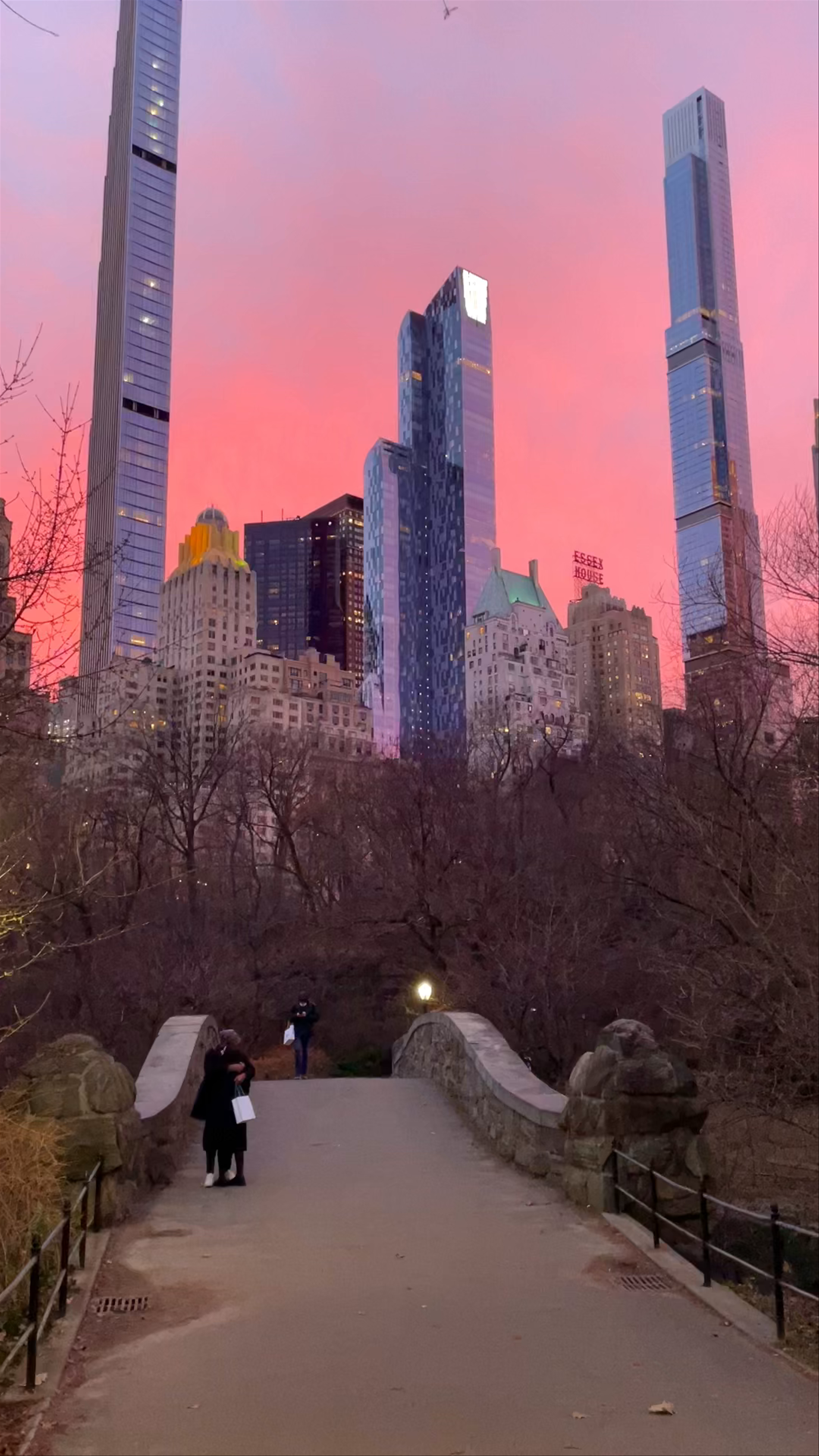 Central Park at Sunset: Pink Sky Over New York City Skyline