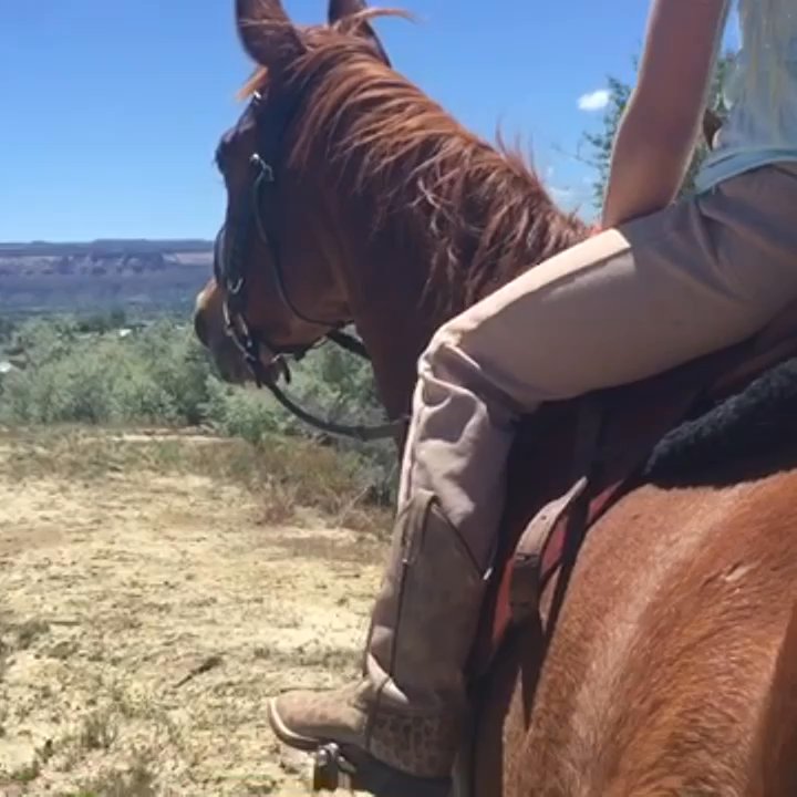 Canyon View Park - Parks Near Me - Grand Junction, Colorado