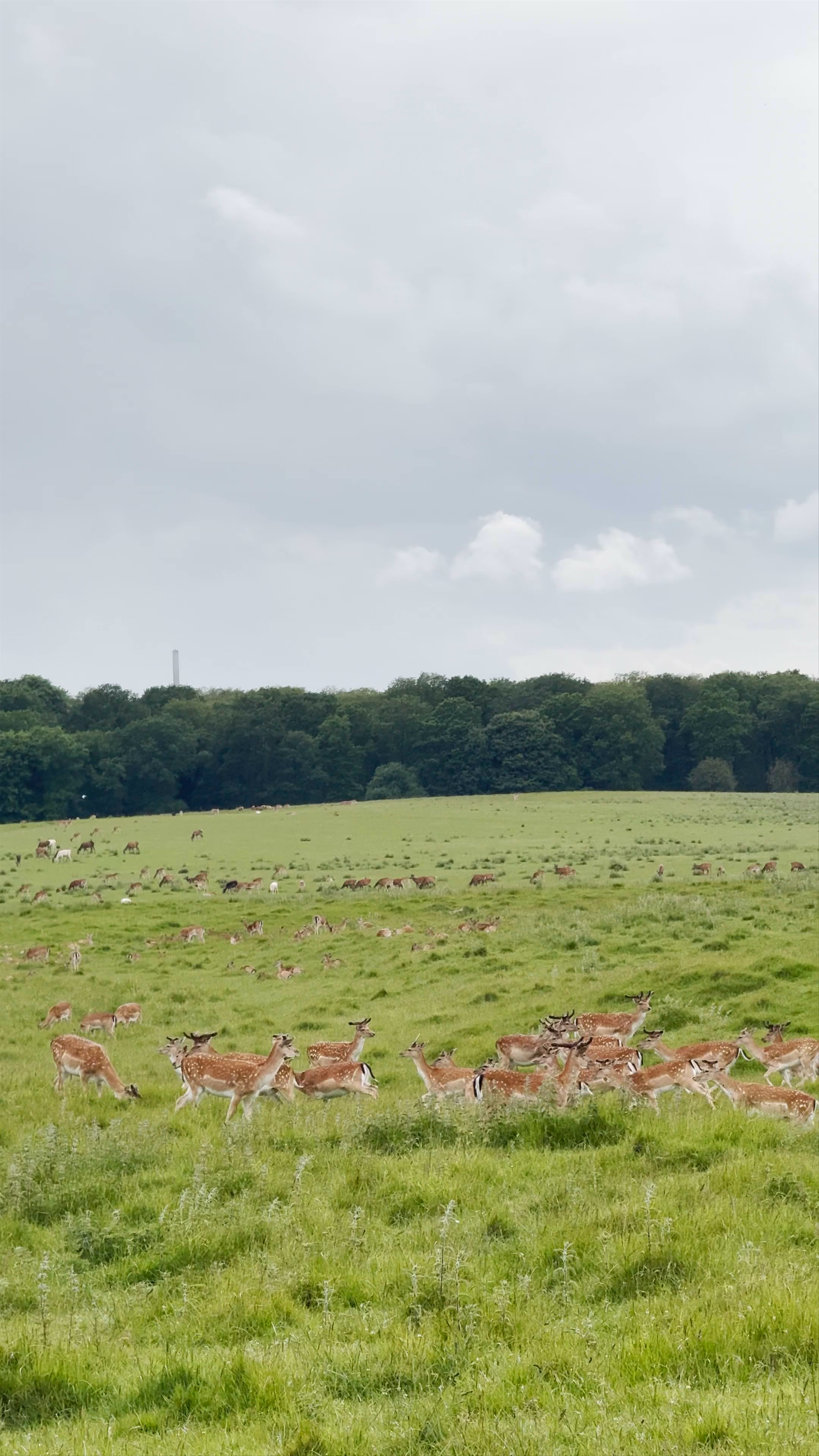 The Hermitage Hunting Lodge