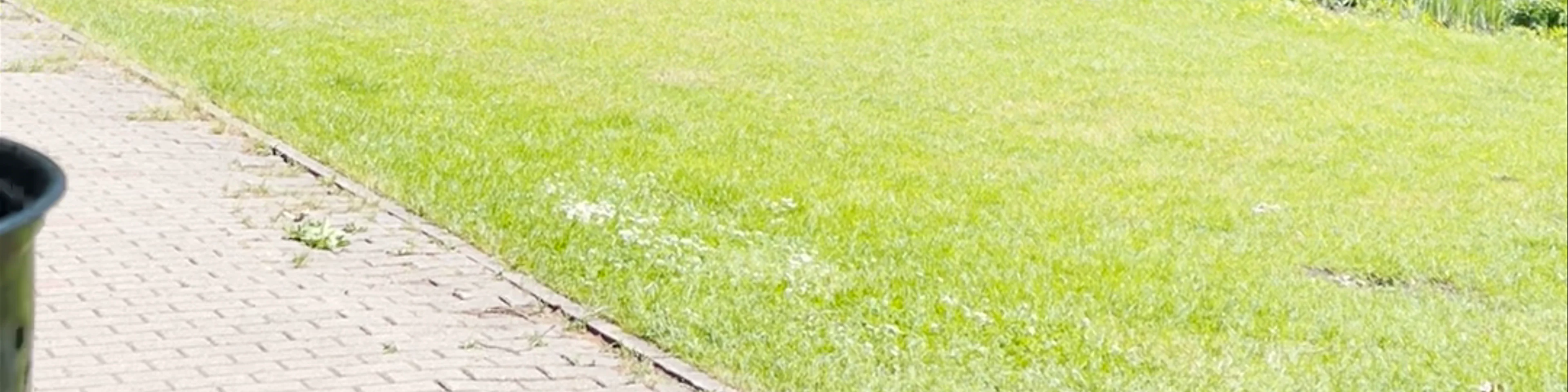 Kronvalda Park