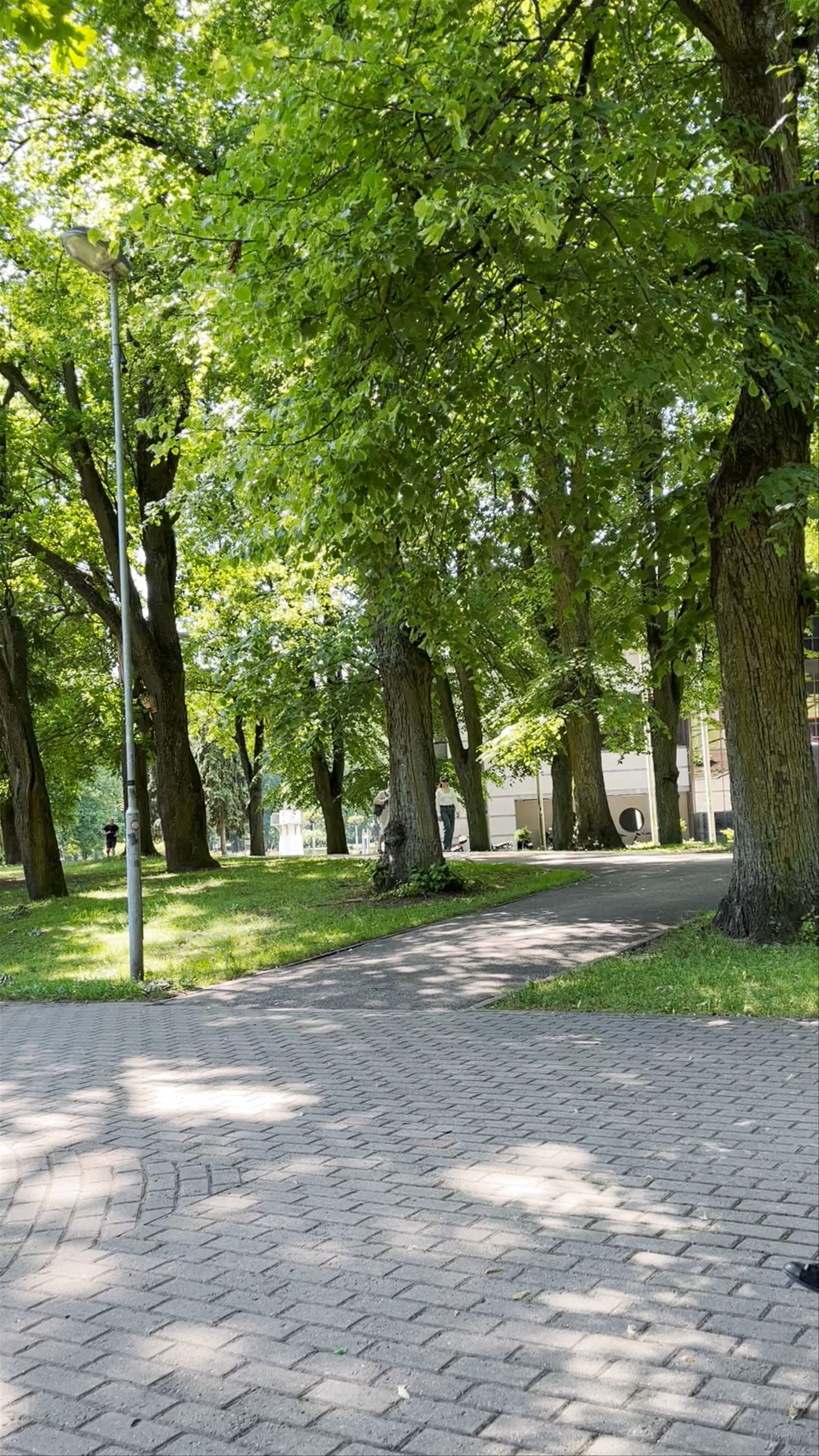 Kronvalda Park