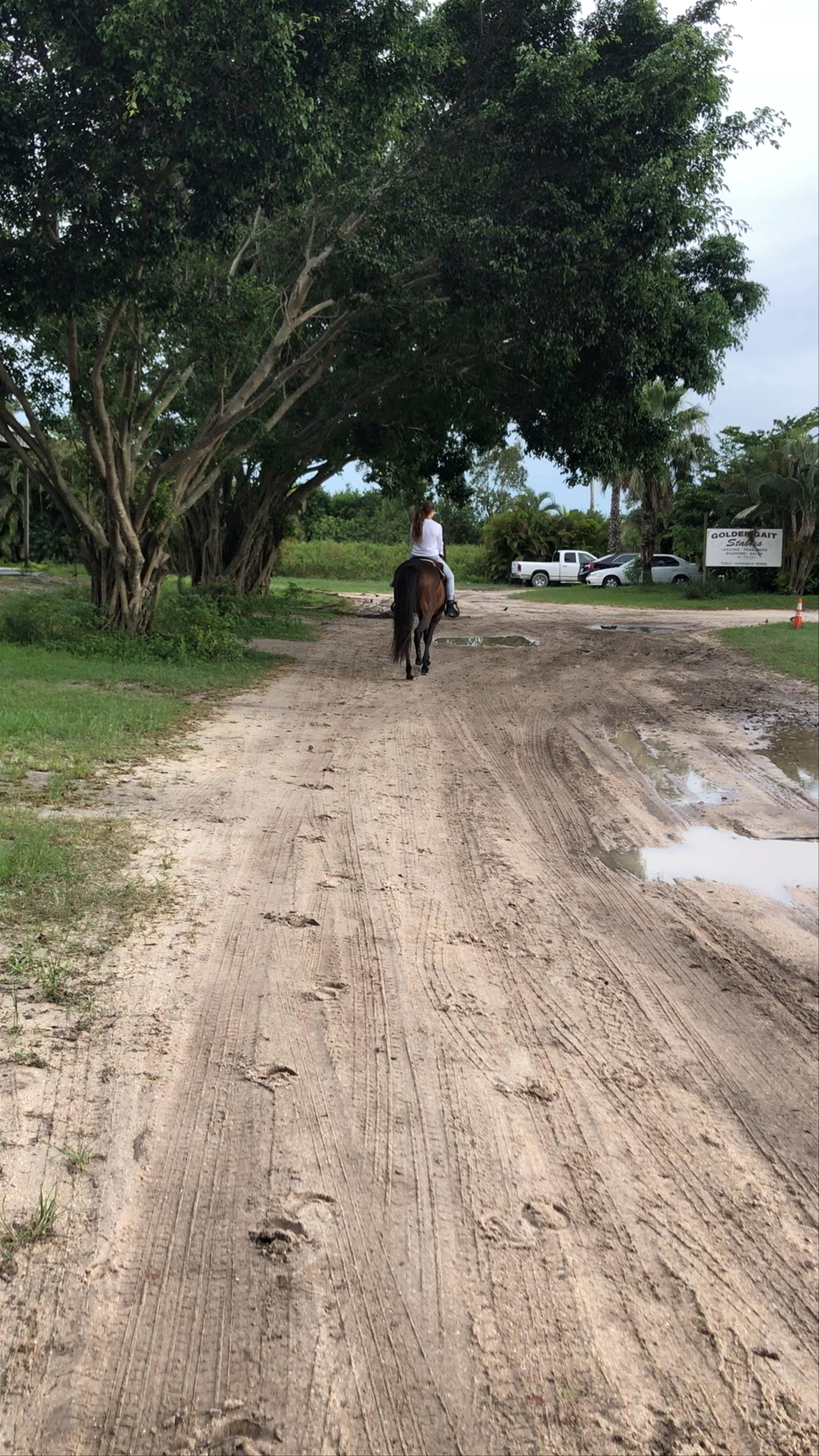 Golden Gait Riding Stables