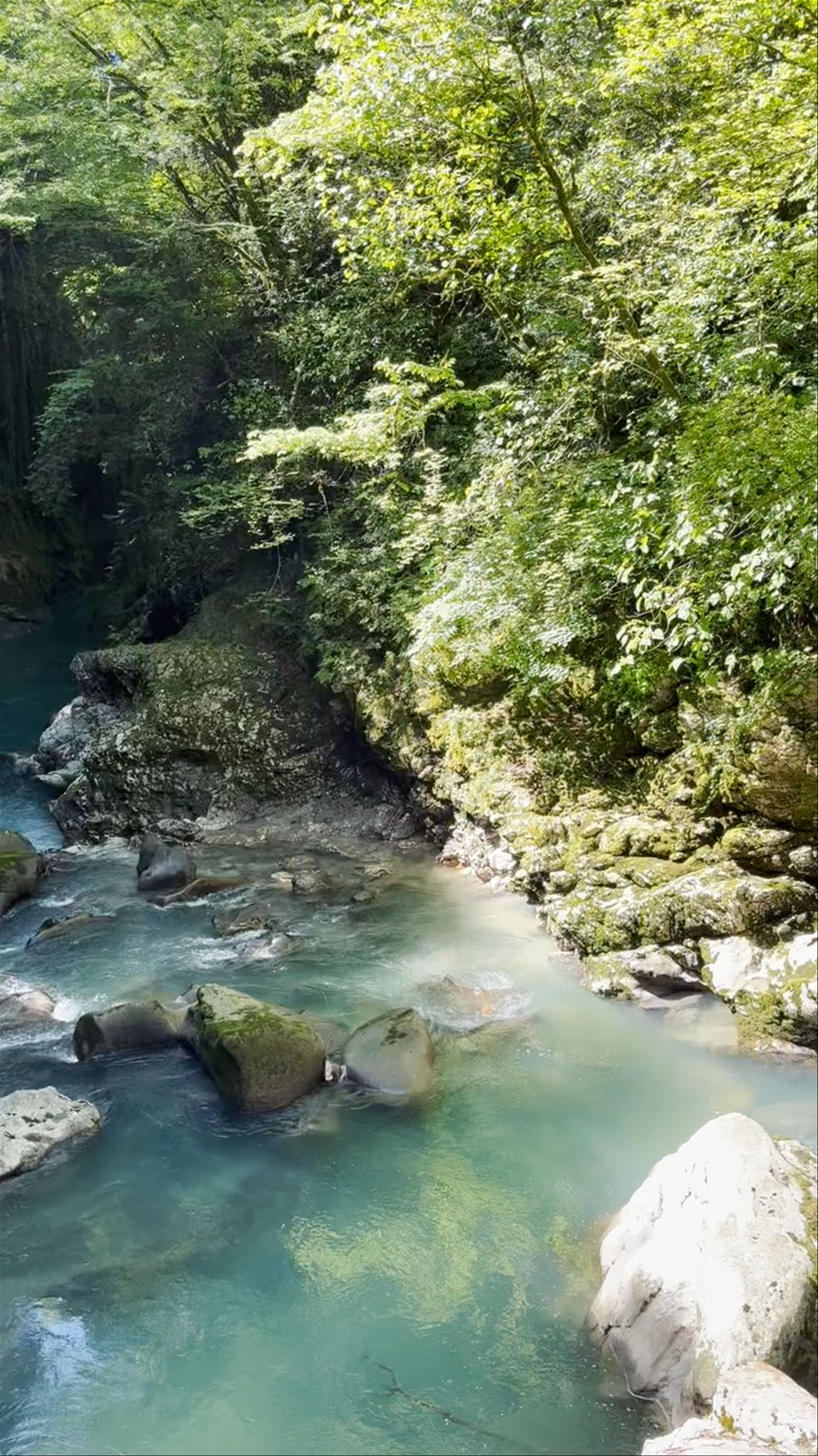 Martvili Canyon Bridge