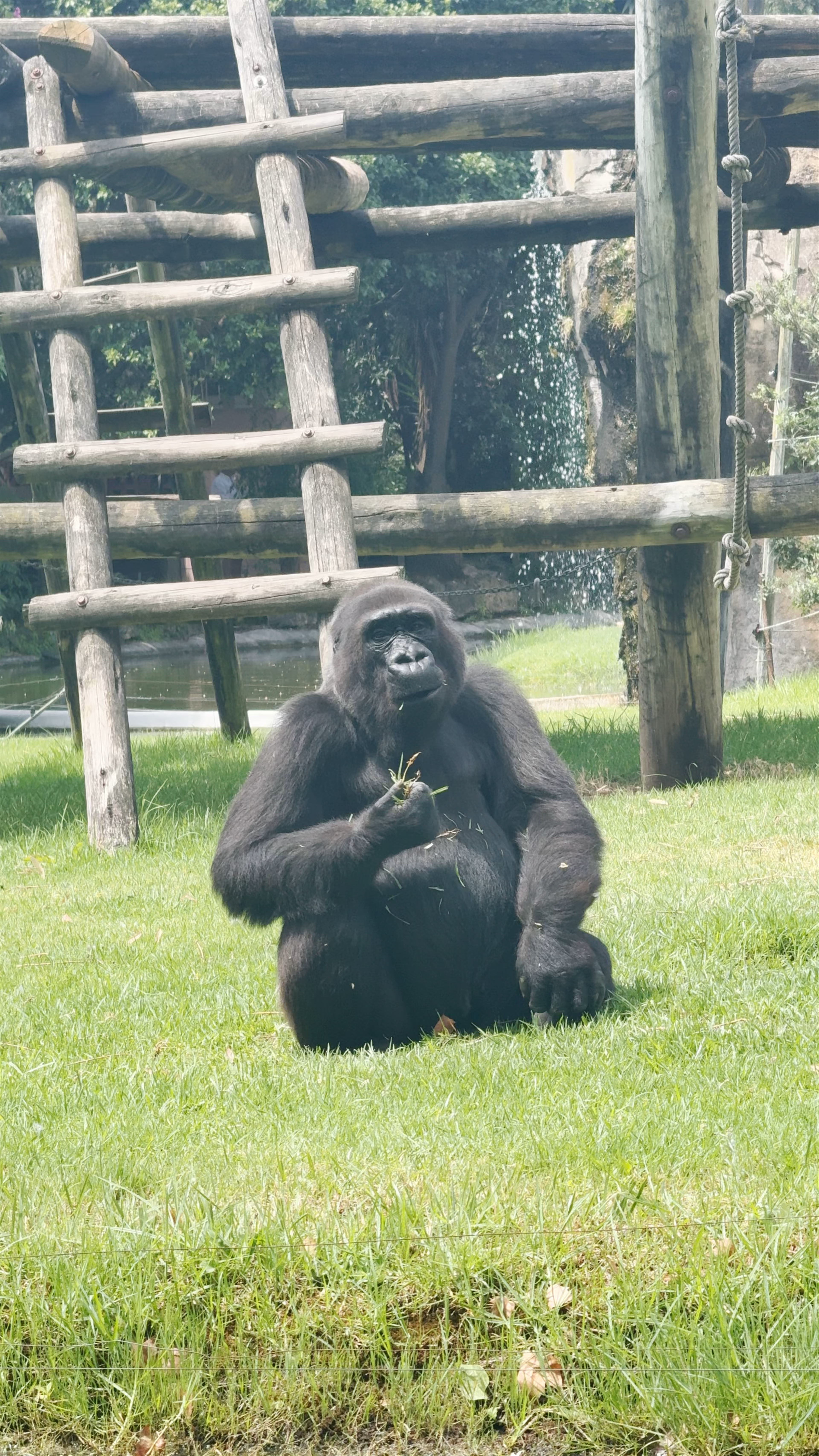 Zoológico de Lisboa