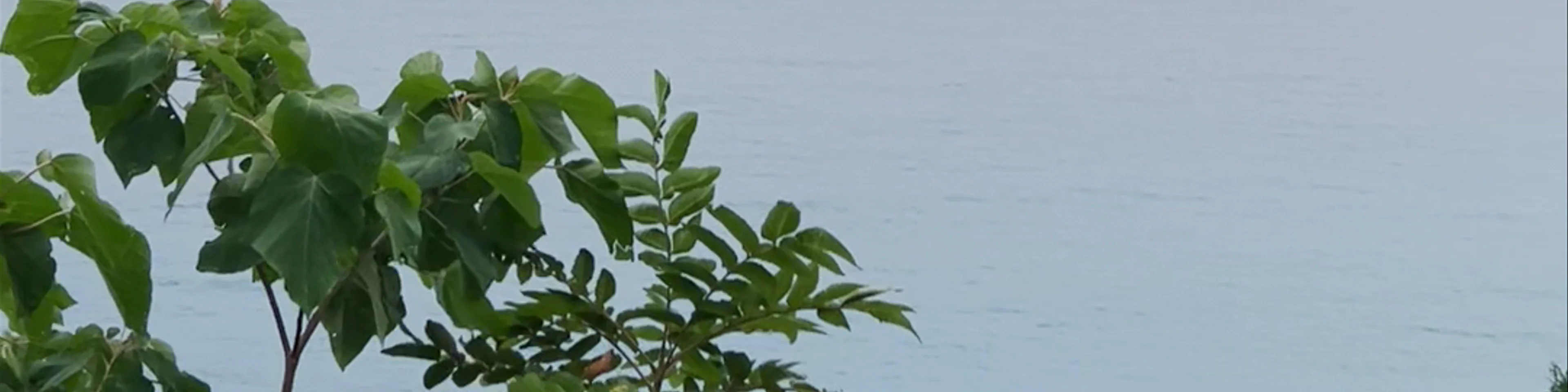 Qingshui Cliff