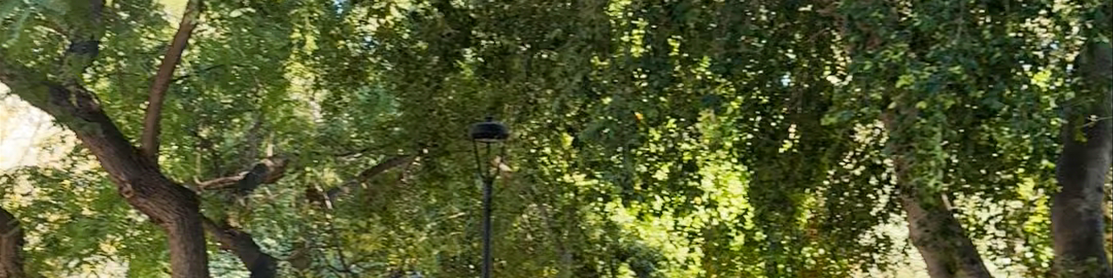 Georgiadis Park