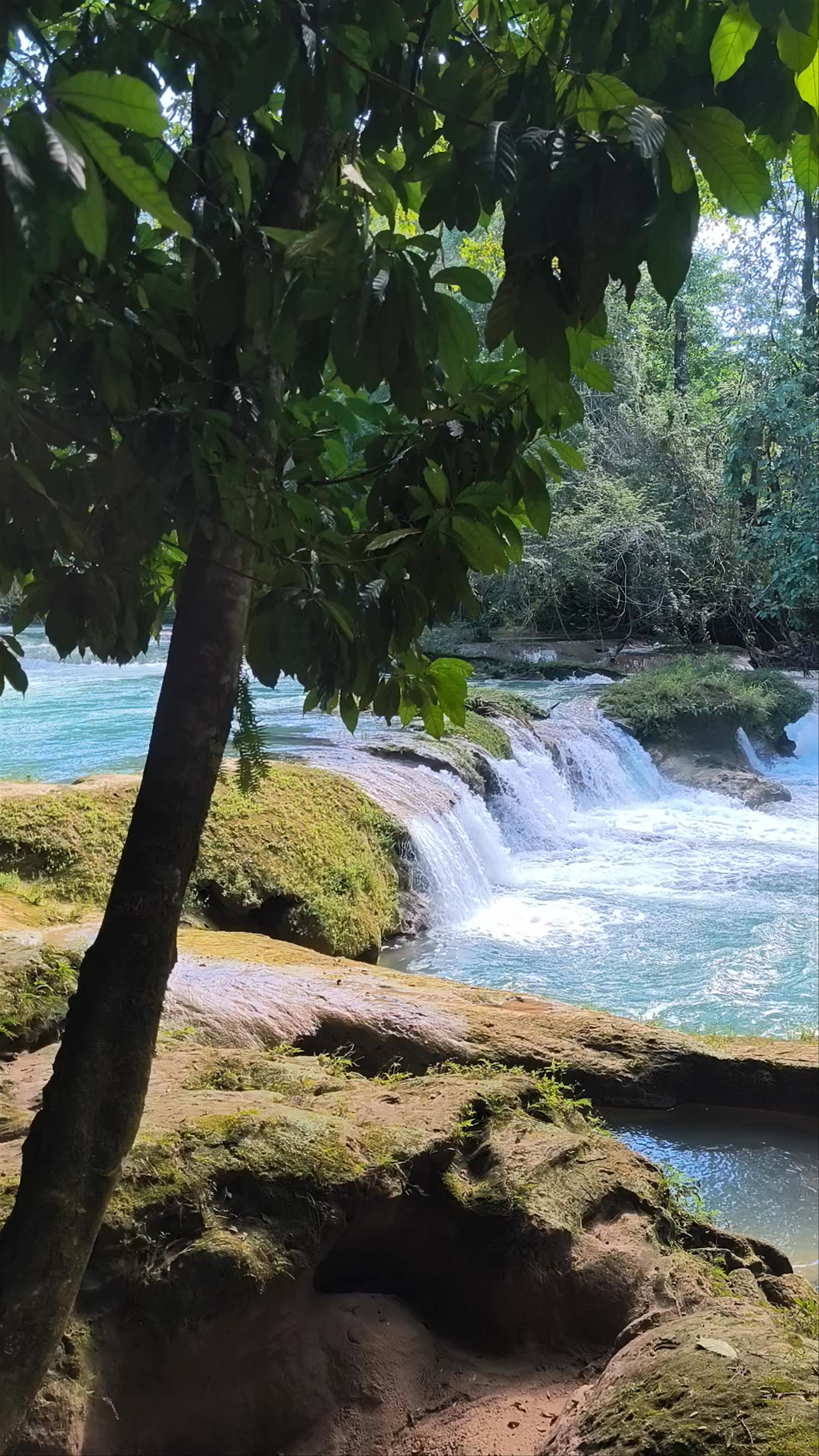 Rio Agua Azul