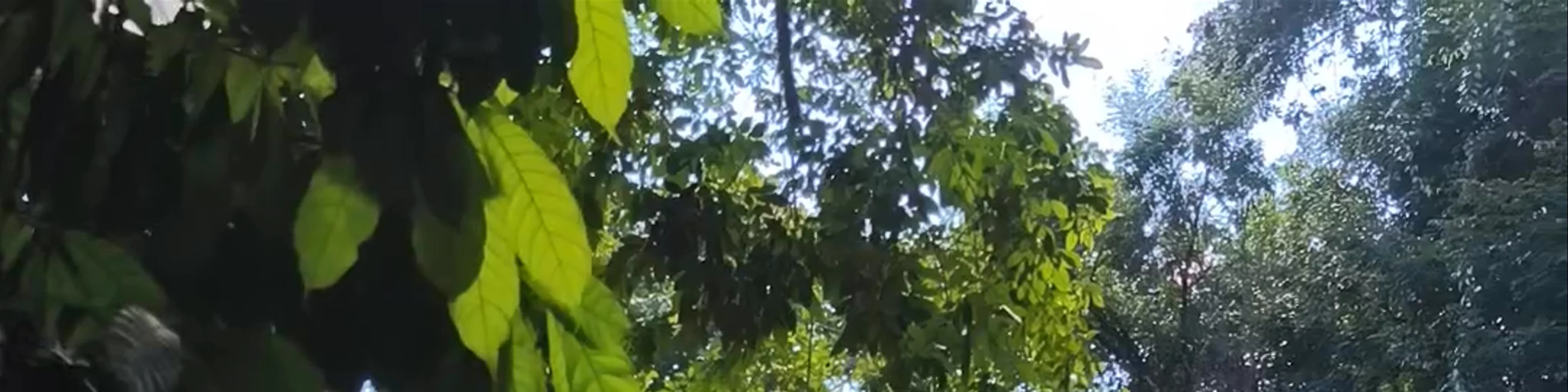 Rio Agua Azul