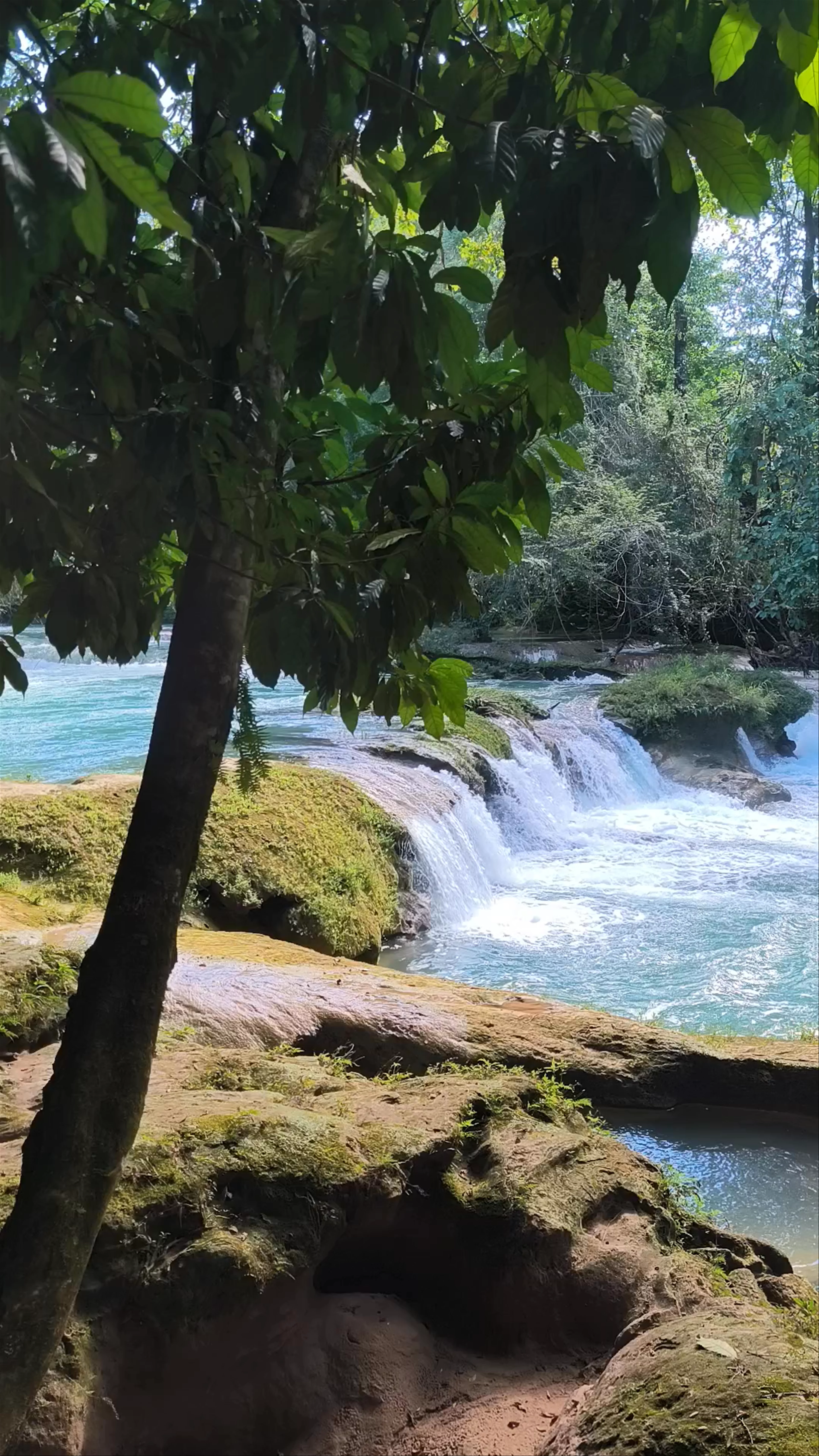 Rio Agua Azul, Cascadas Agua Azul
