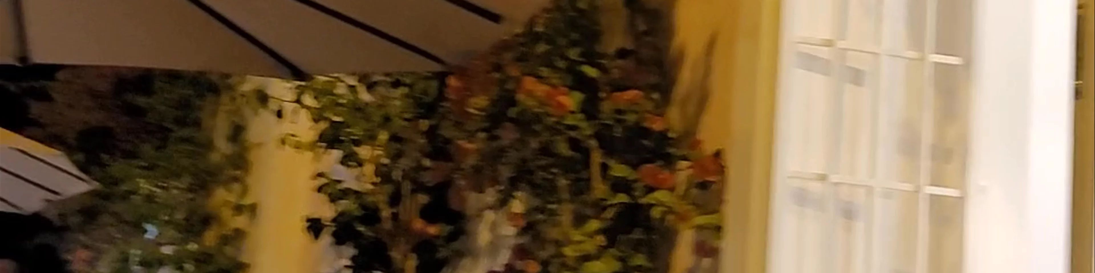 La Santa