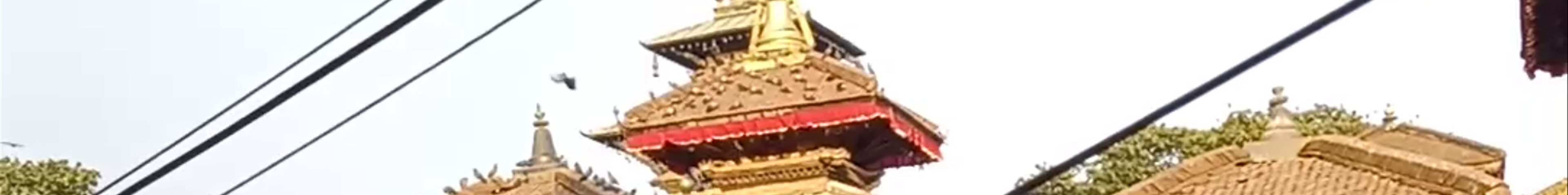 Tours & experiences in Nepal