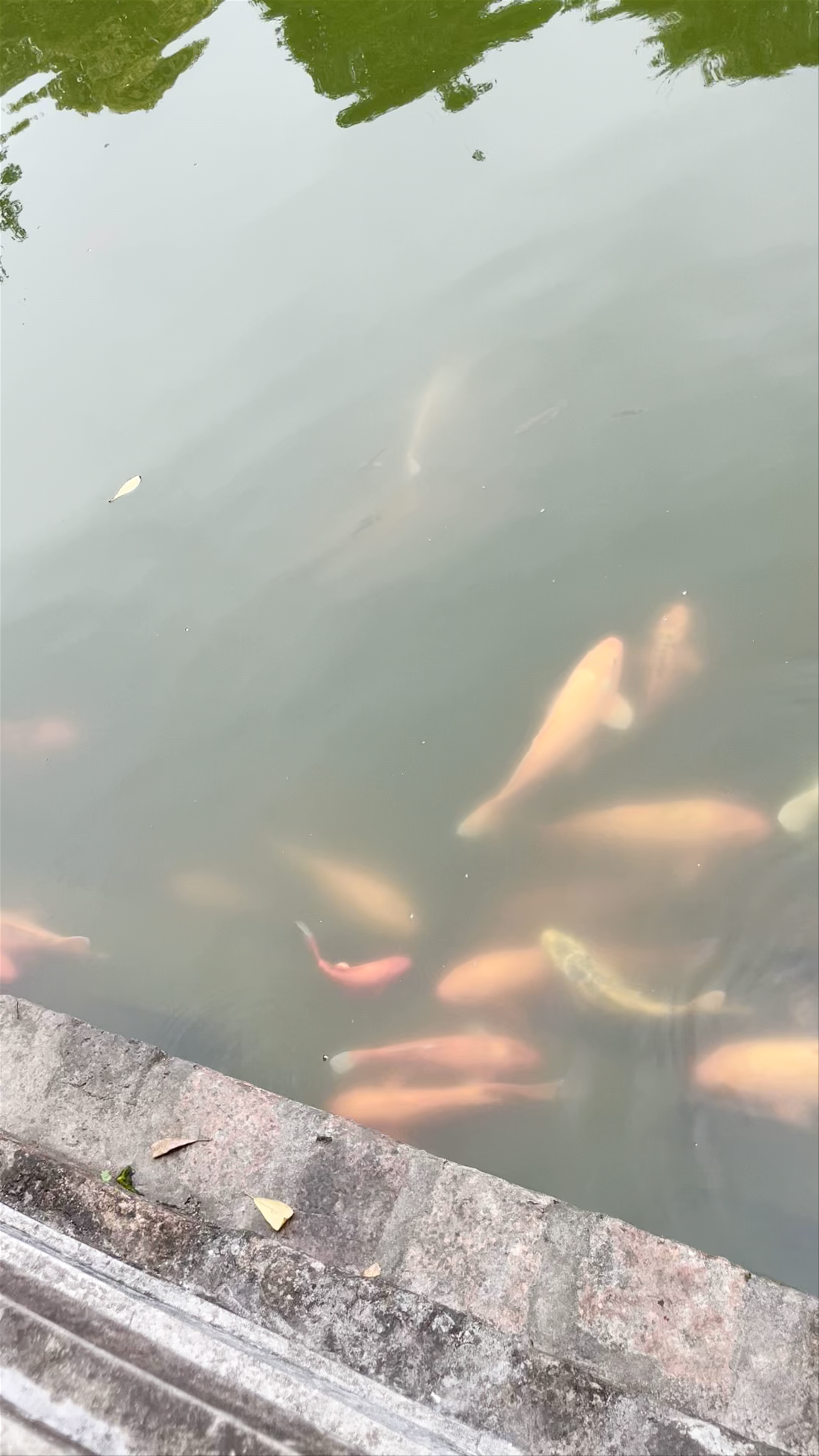Temple Of Literature