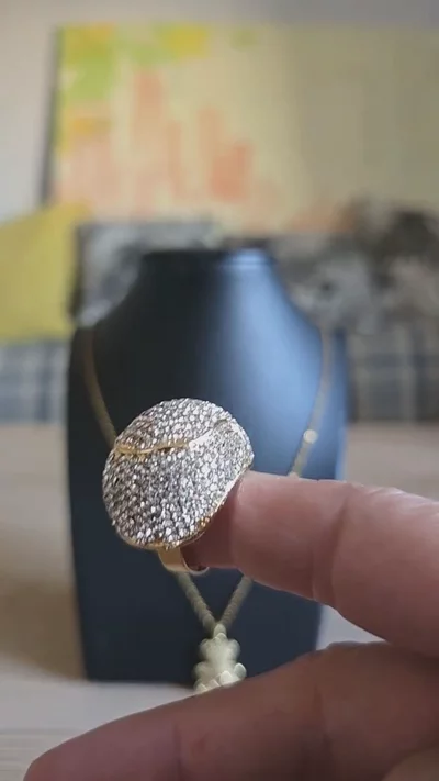 Anillo gordo