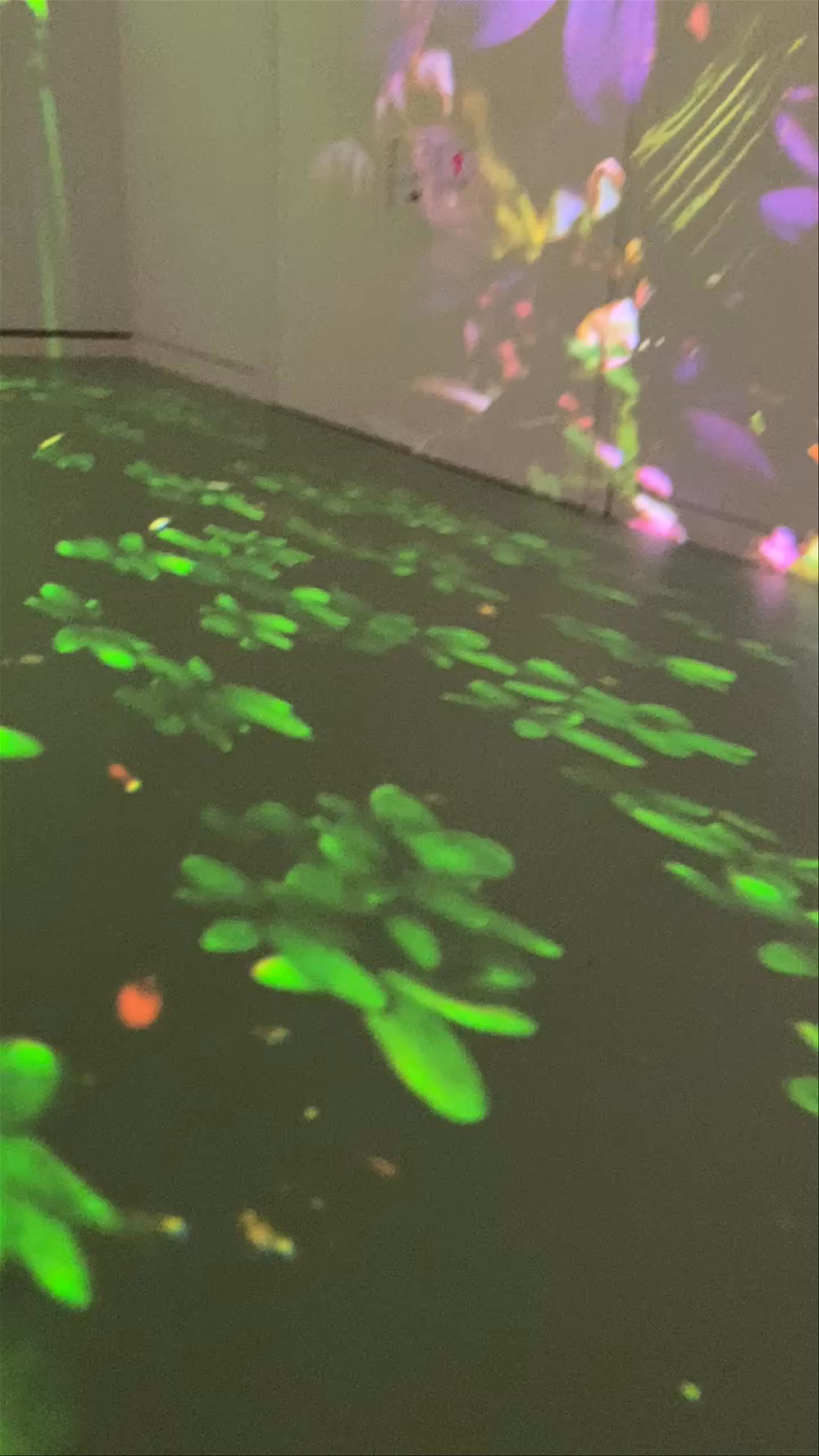 Rhyality Immersive Art Hall