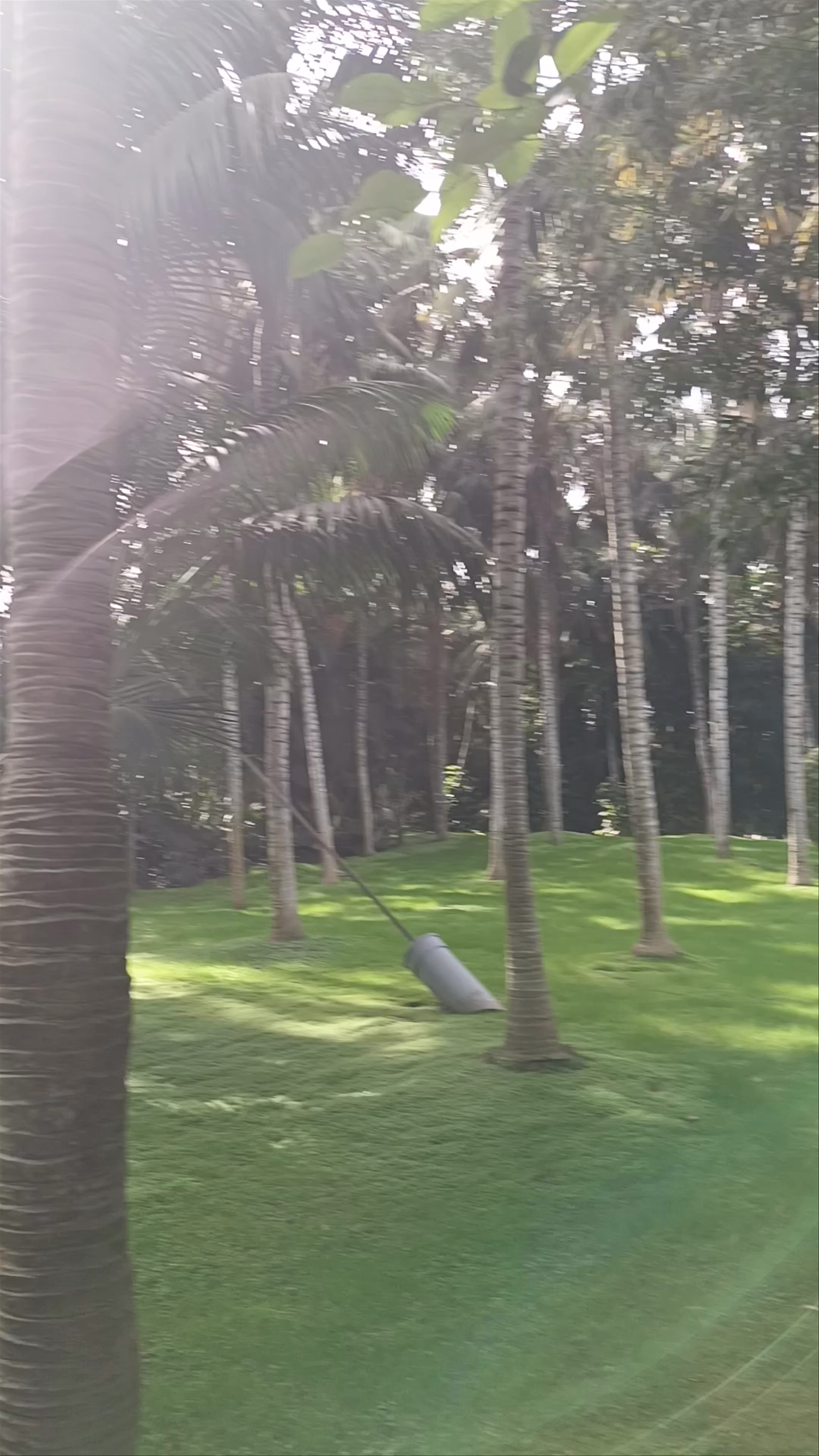 Chimpland Experience in Puerto de la Cruz, Tenerife