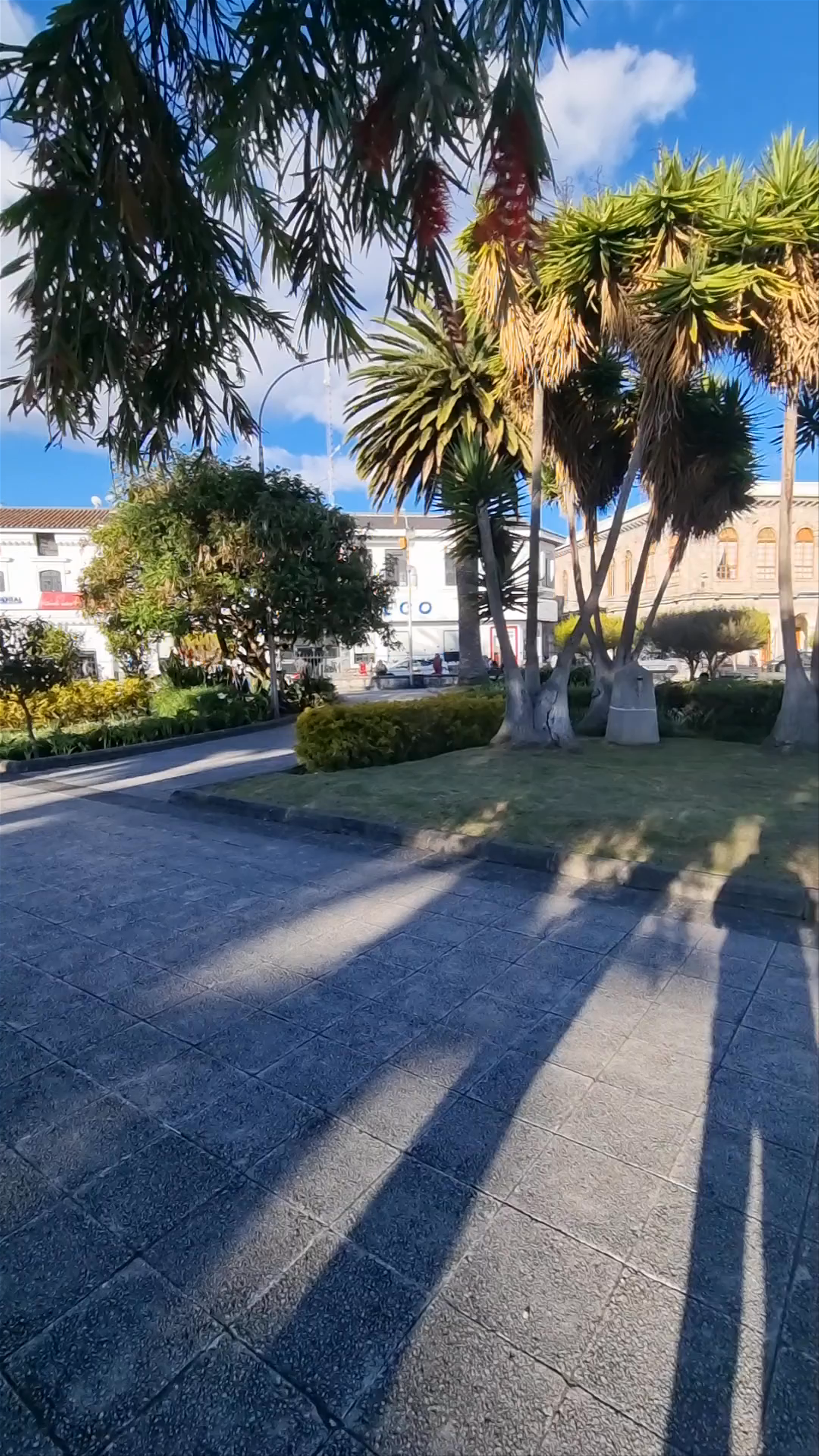 Vicente Leon Park