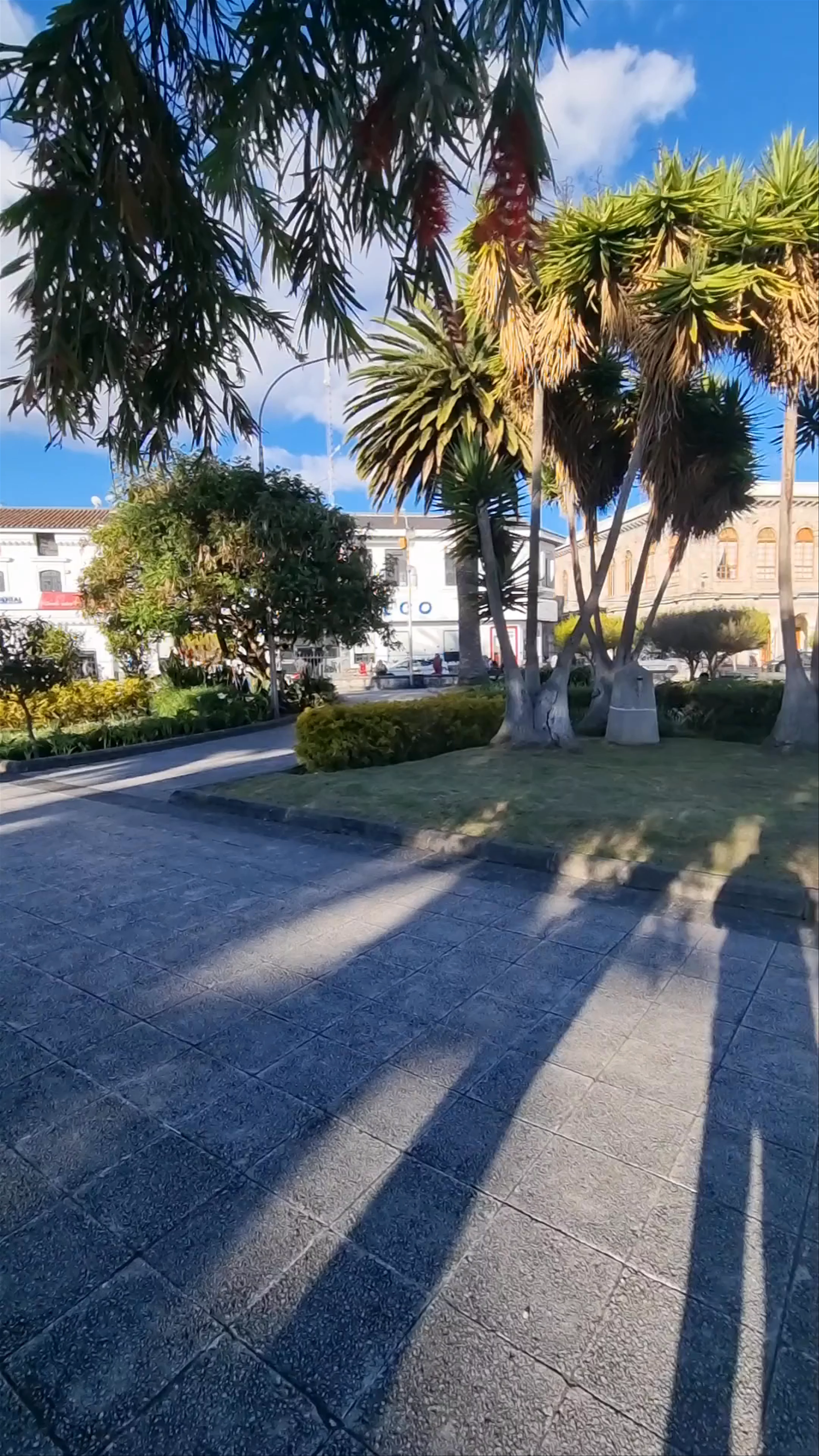 Parque Central Vicente León