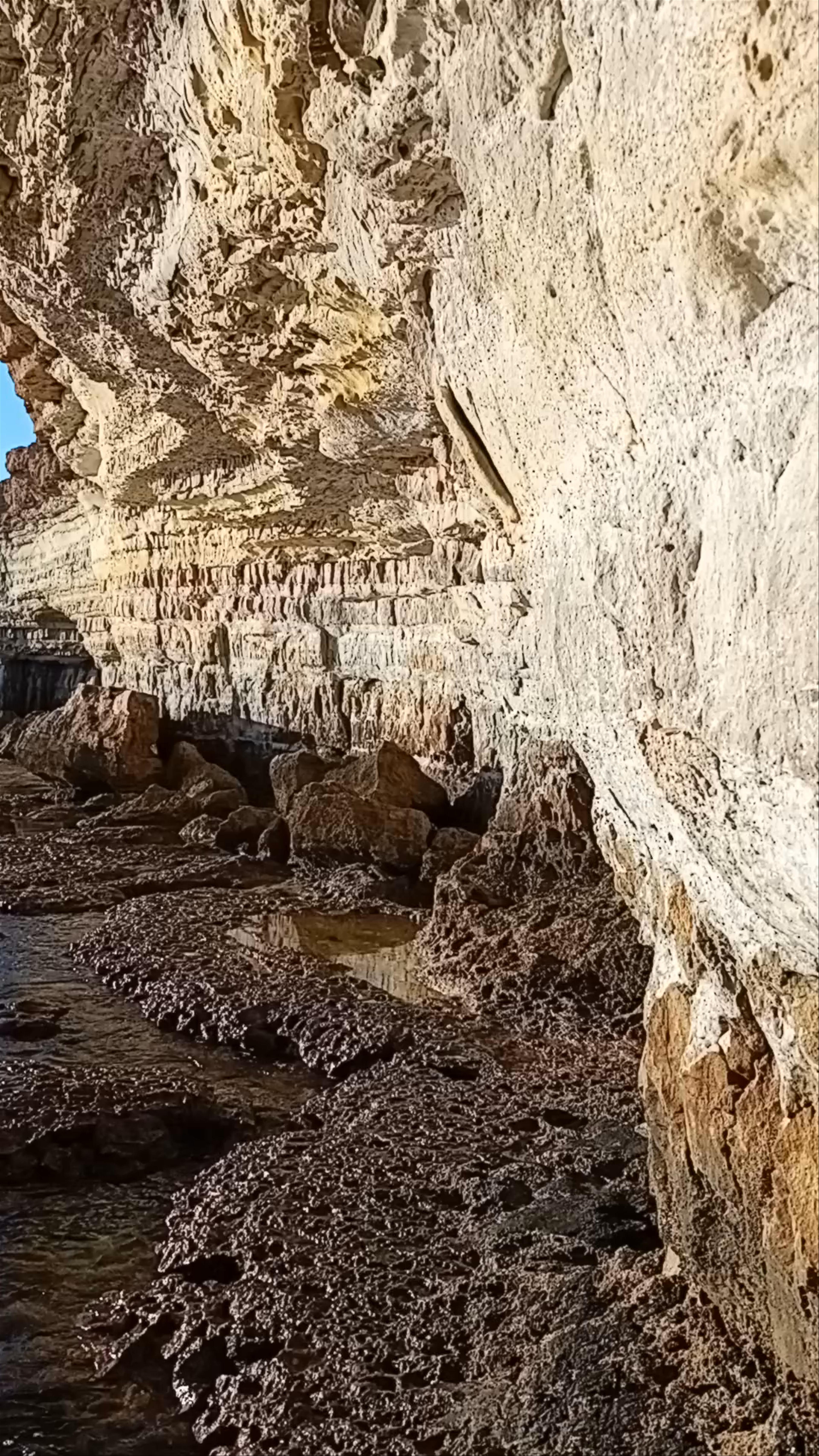 Sea Caves