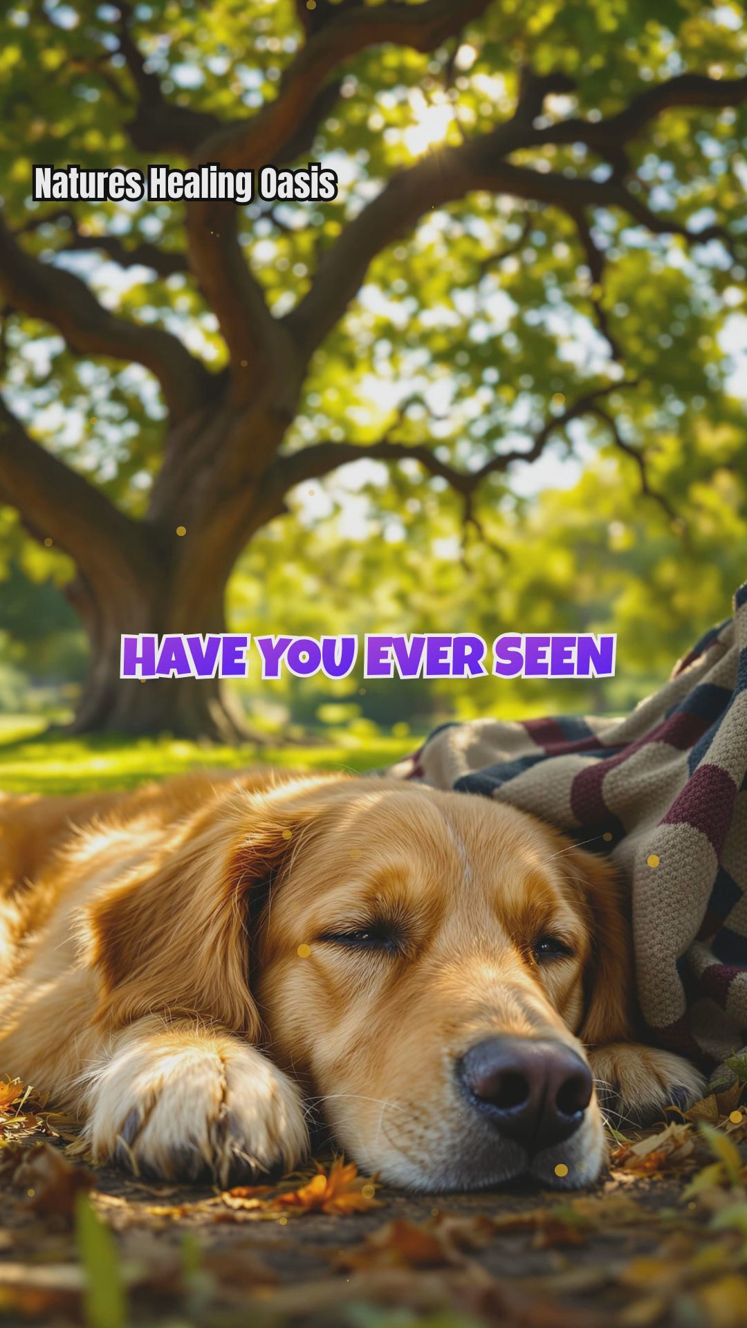 The Hidden Power of Trees: How Tree Energy Affects Your Pets