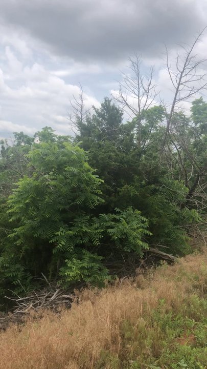 Red Rock Canyon Adventure Park - Parks Near Me - Hinton, Oklahoma