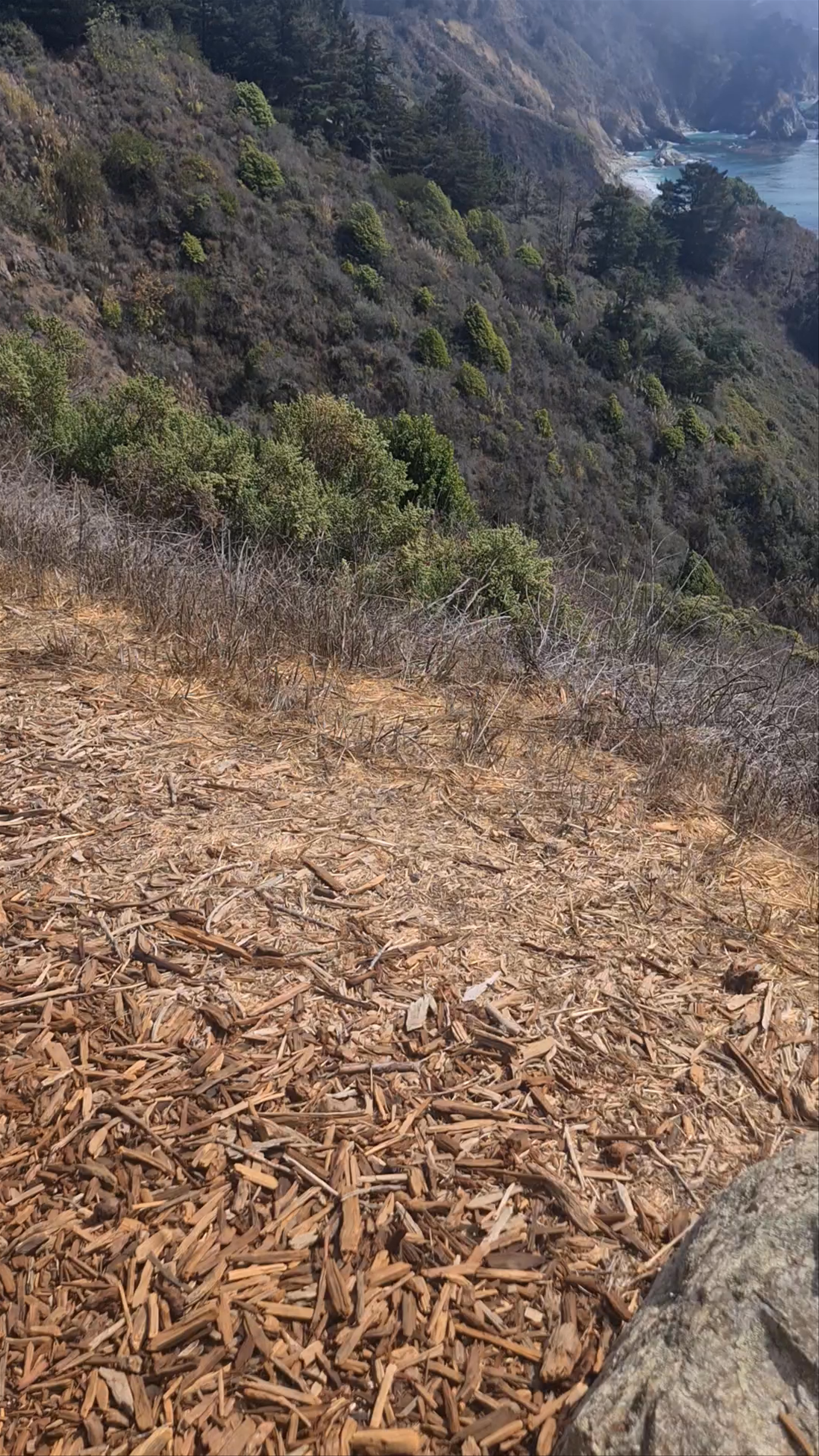 Pacific Coast Highway