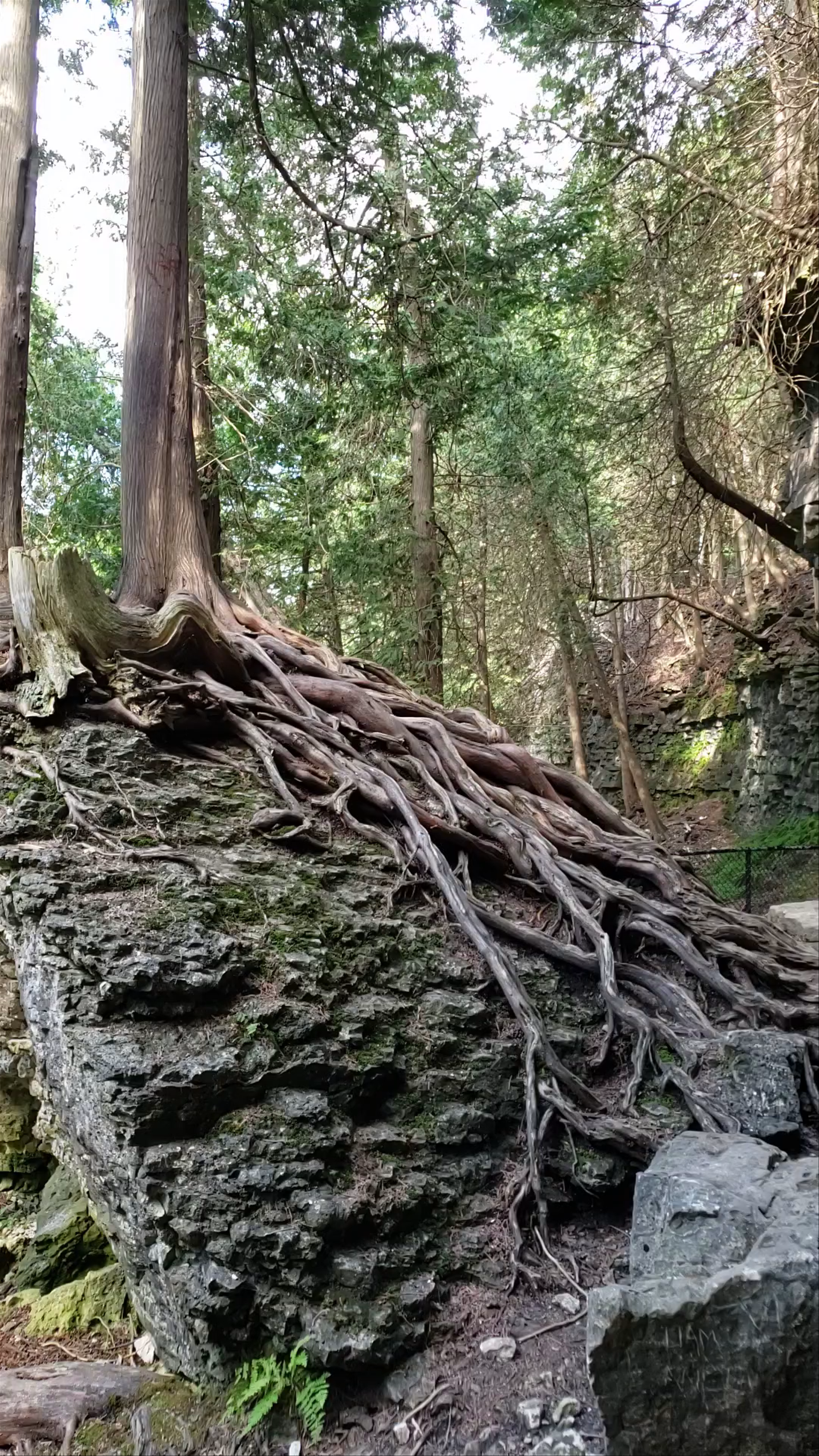 Elora Gorge Conservation Area Gate House