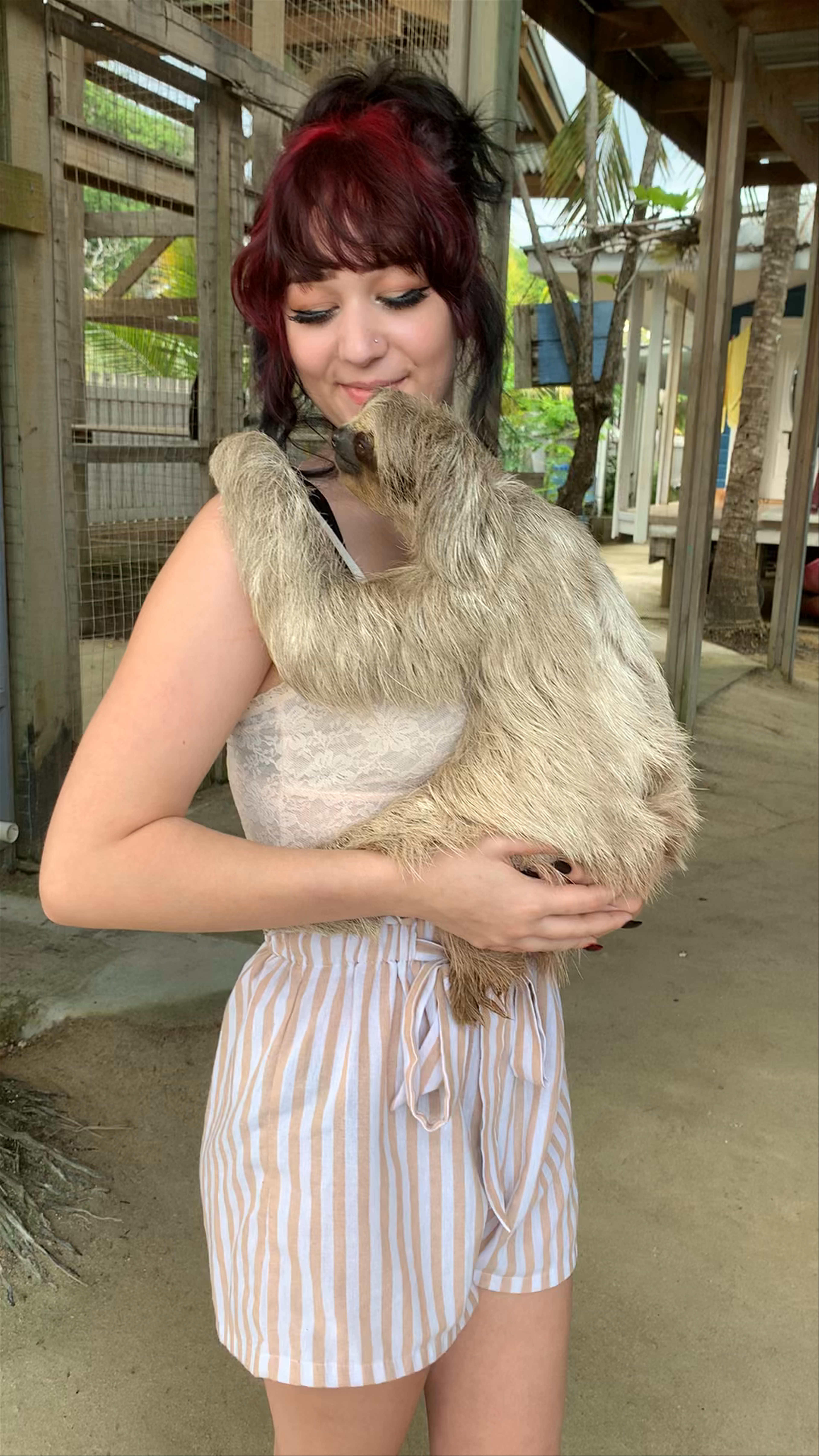 Daniel Johnson's Monkey and Sloth Hang Out