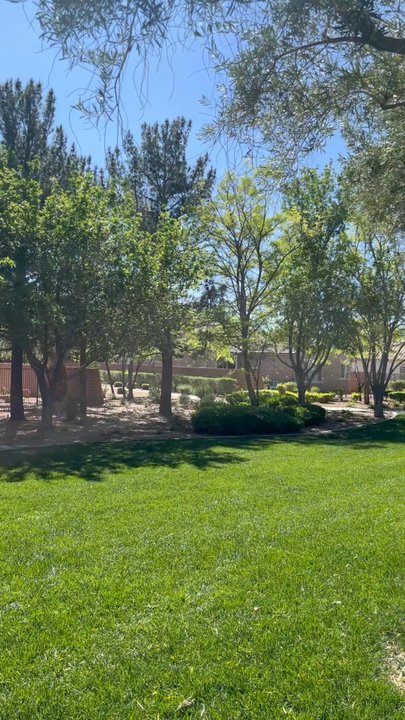 Ridgebrook Park - The park - Parks Near Me - Las Vegas, Nevada