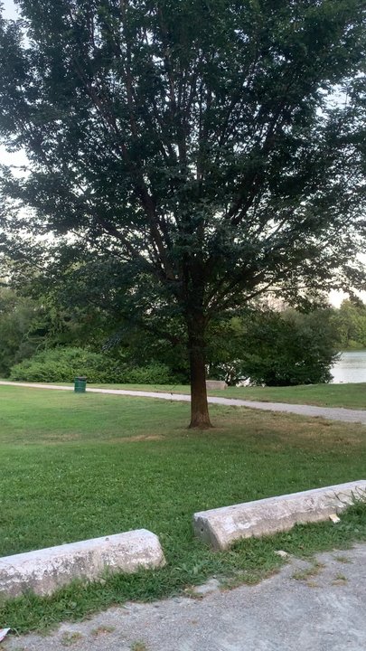 Turner's Pond - found this beautiful spot by accident. - Parks Near Me