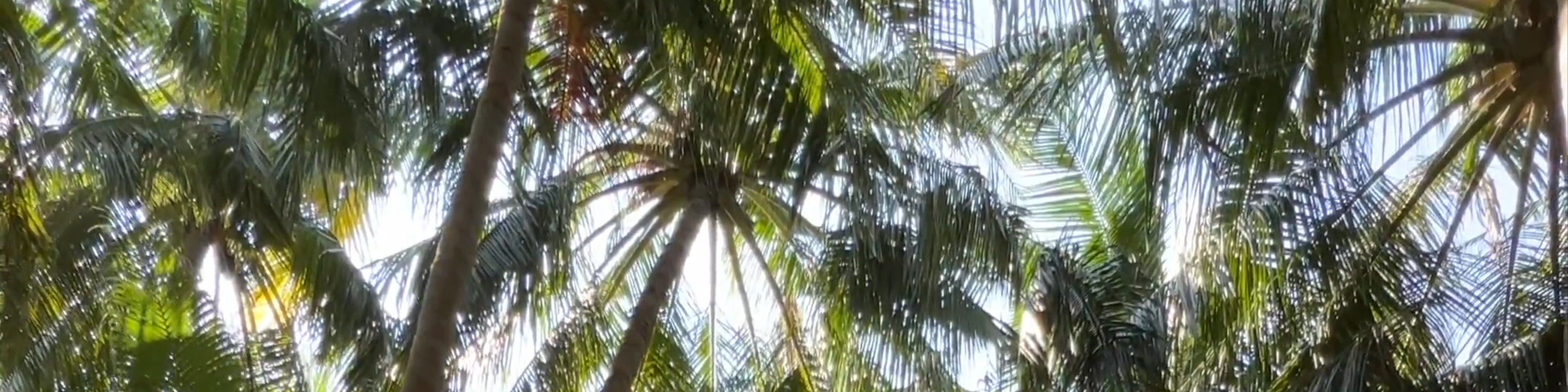 Maldives