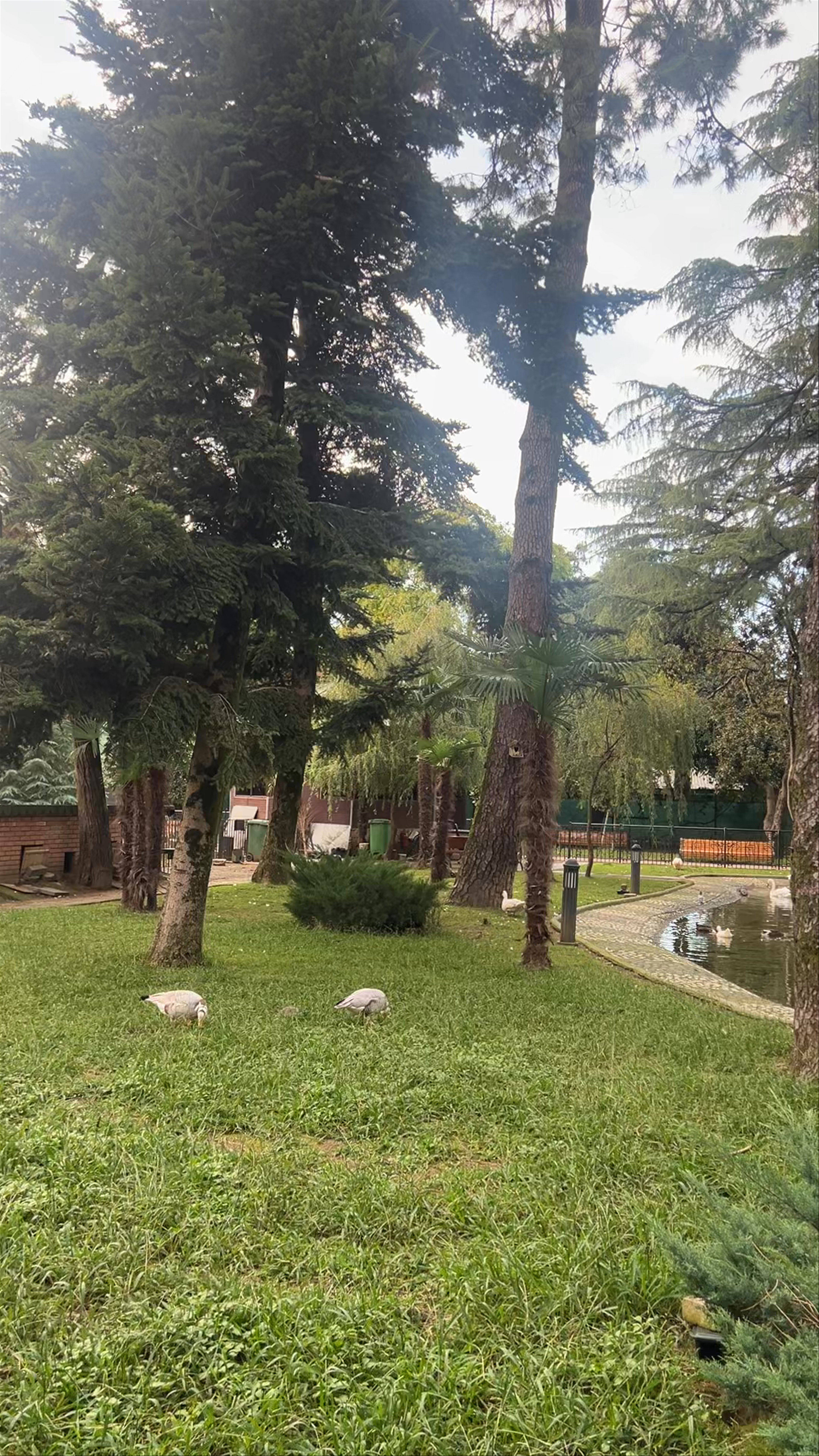 Bird Zoo Serenity on Batumi Boulevard