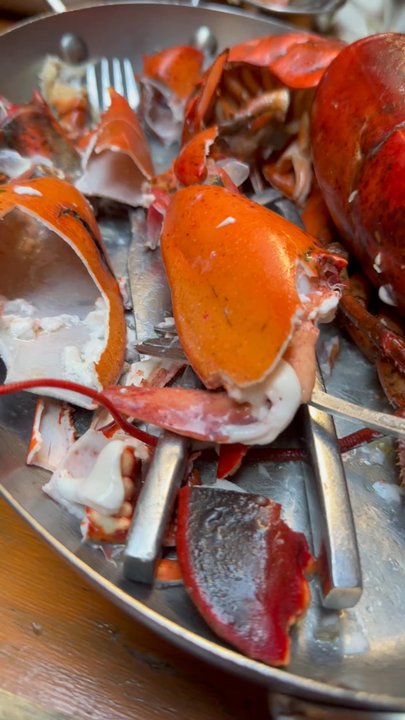 Ulysses - Opening up a lobster - Pubs Near Me - New York, New York