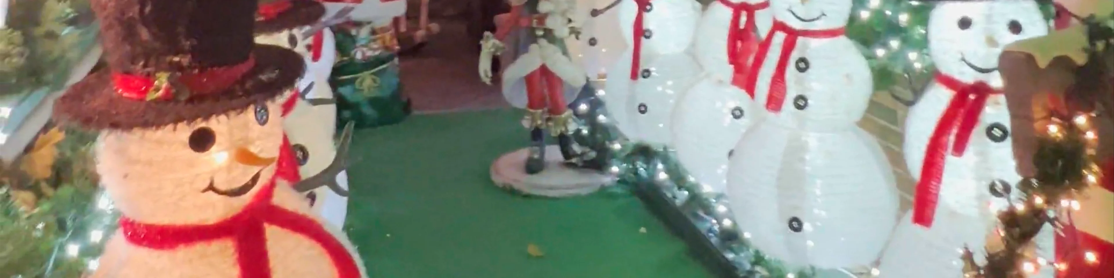 Dyker Heights Christmas Lights