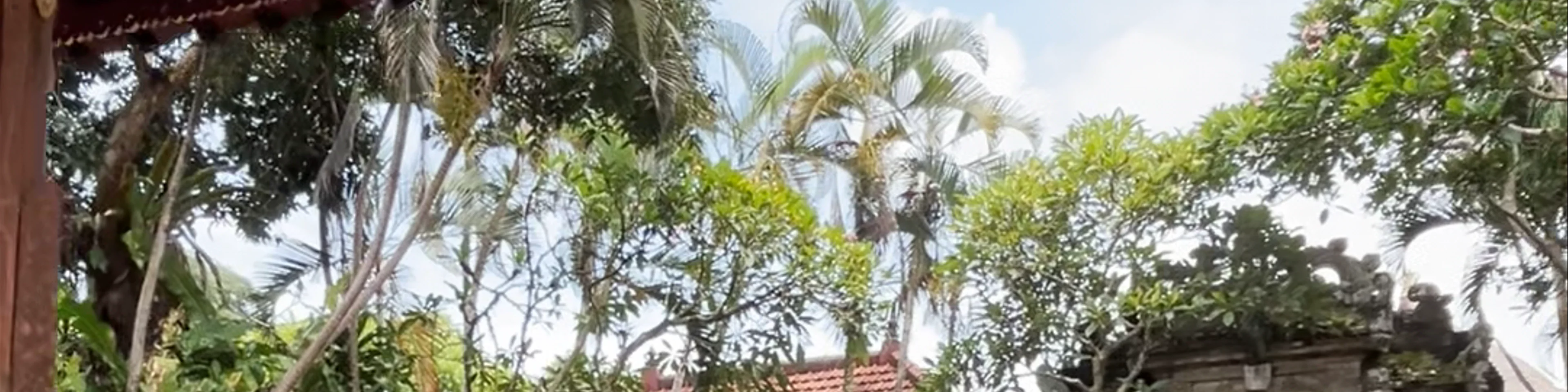 Ubud Palace