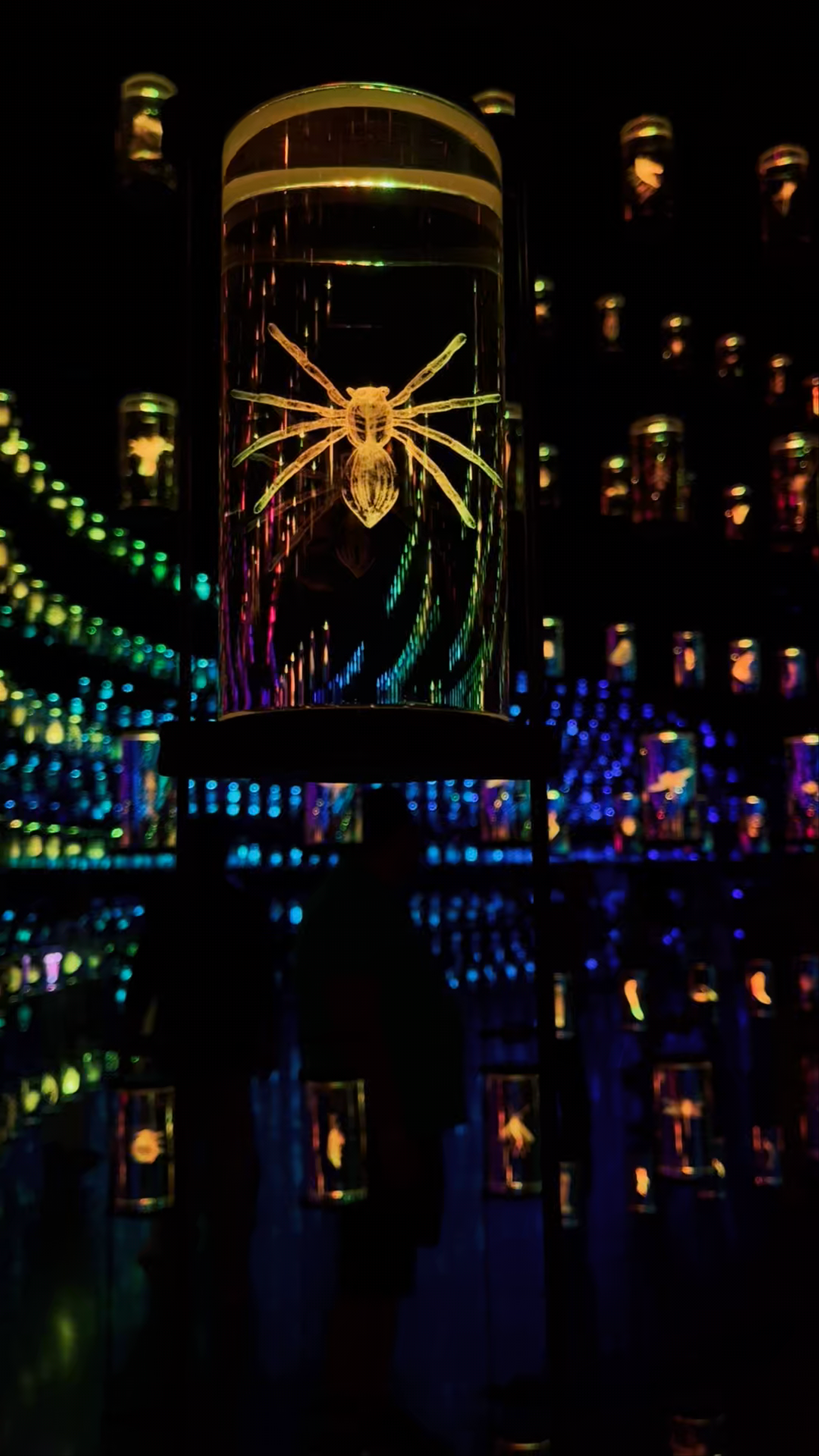 Museum of The Future - Sheikh Zayed Road - Dubai - United Arab Emirates