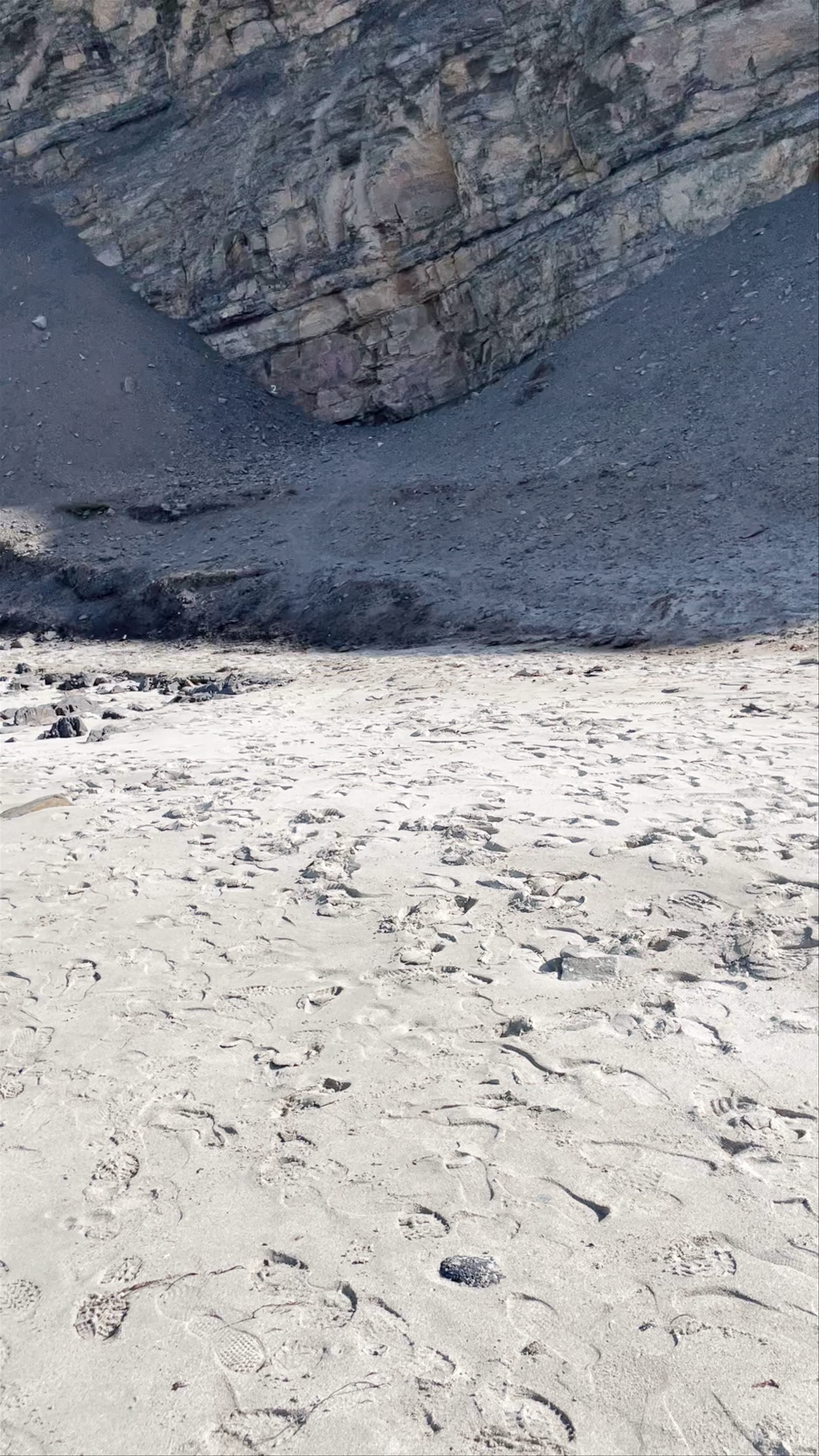 Playa La Mina Pisco