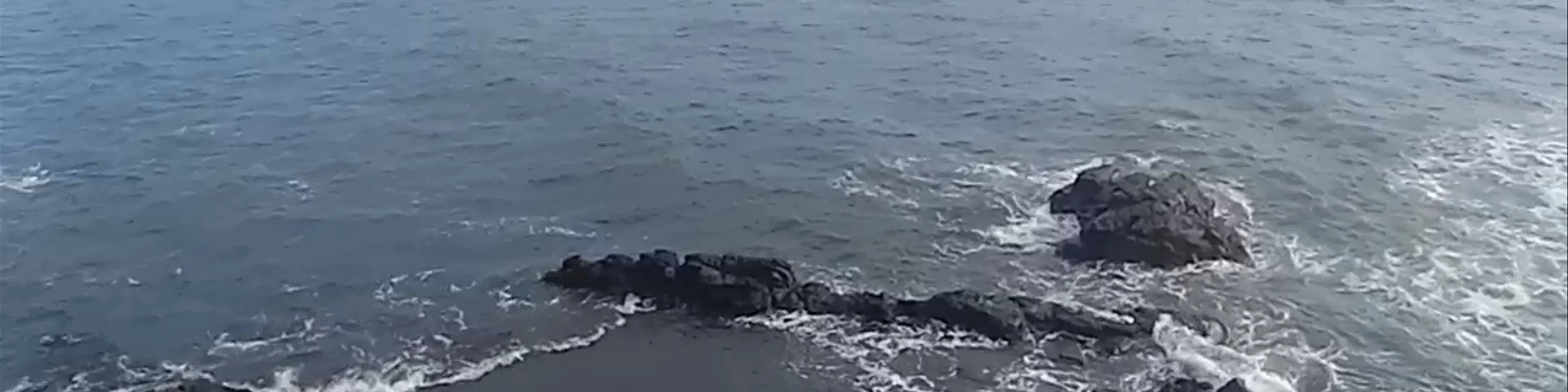 Viewing point