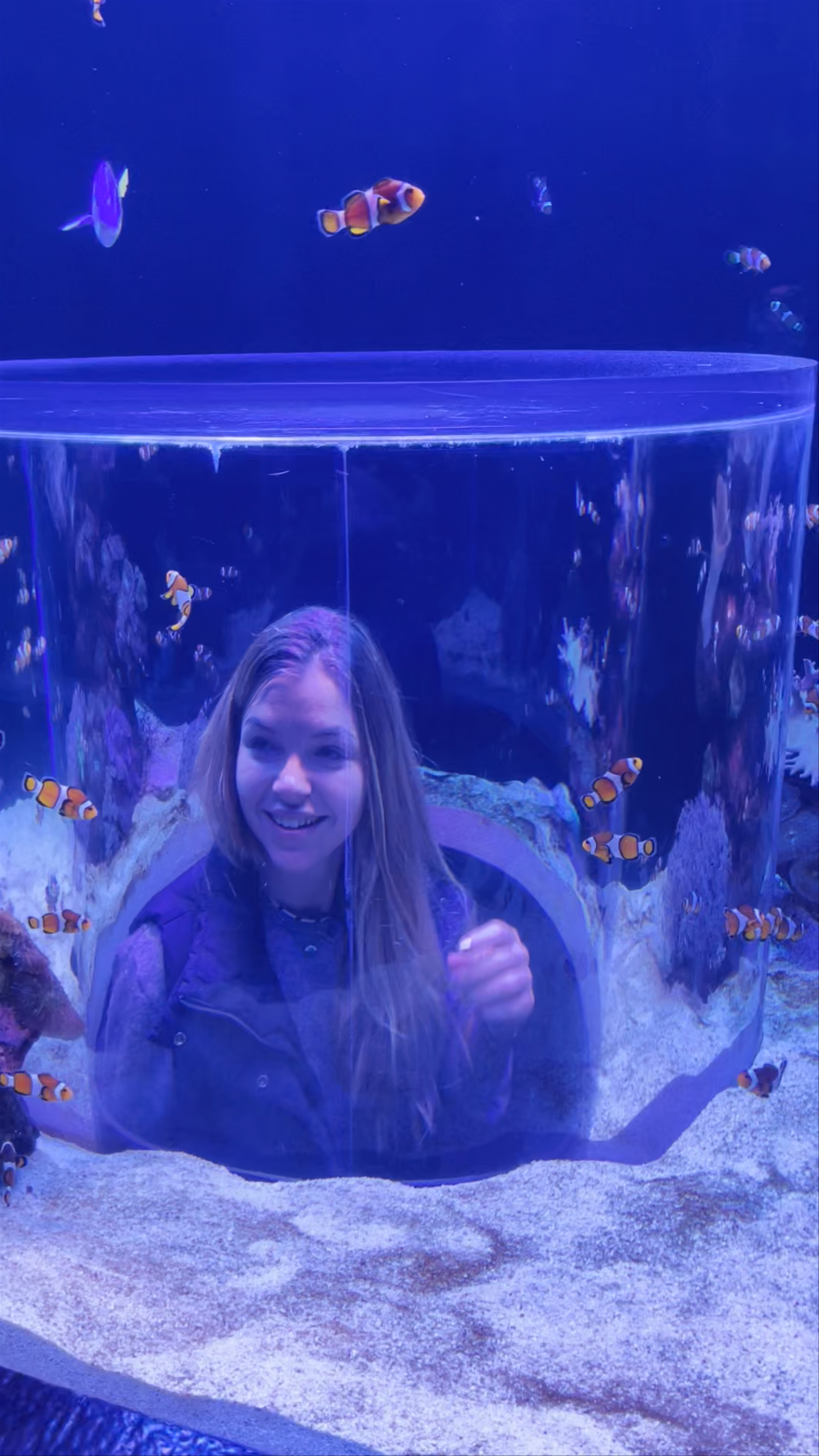 Palma Aquarium