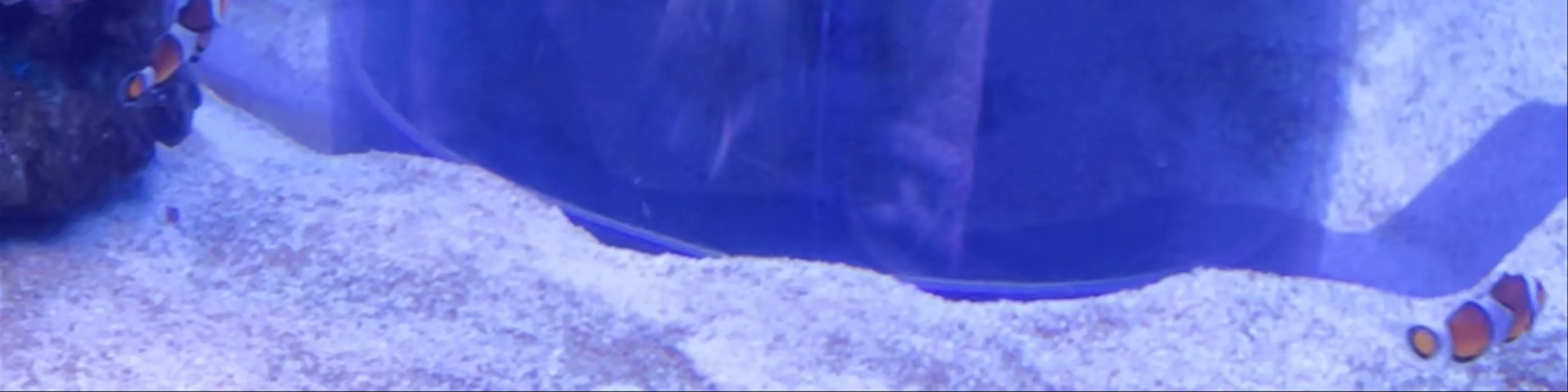 Palma Aquarium