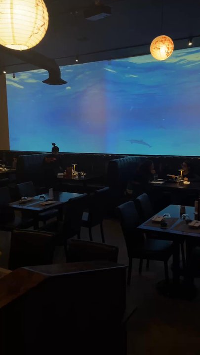 Sayori - Japanese Near Me - Orange, Connecticut