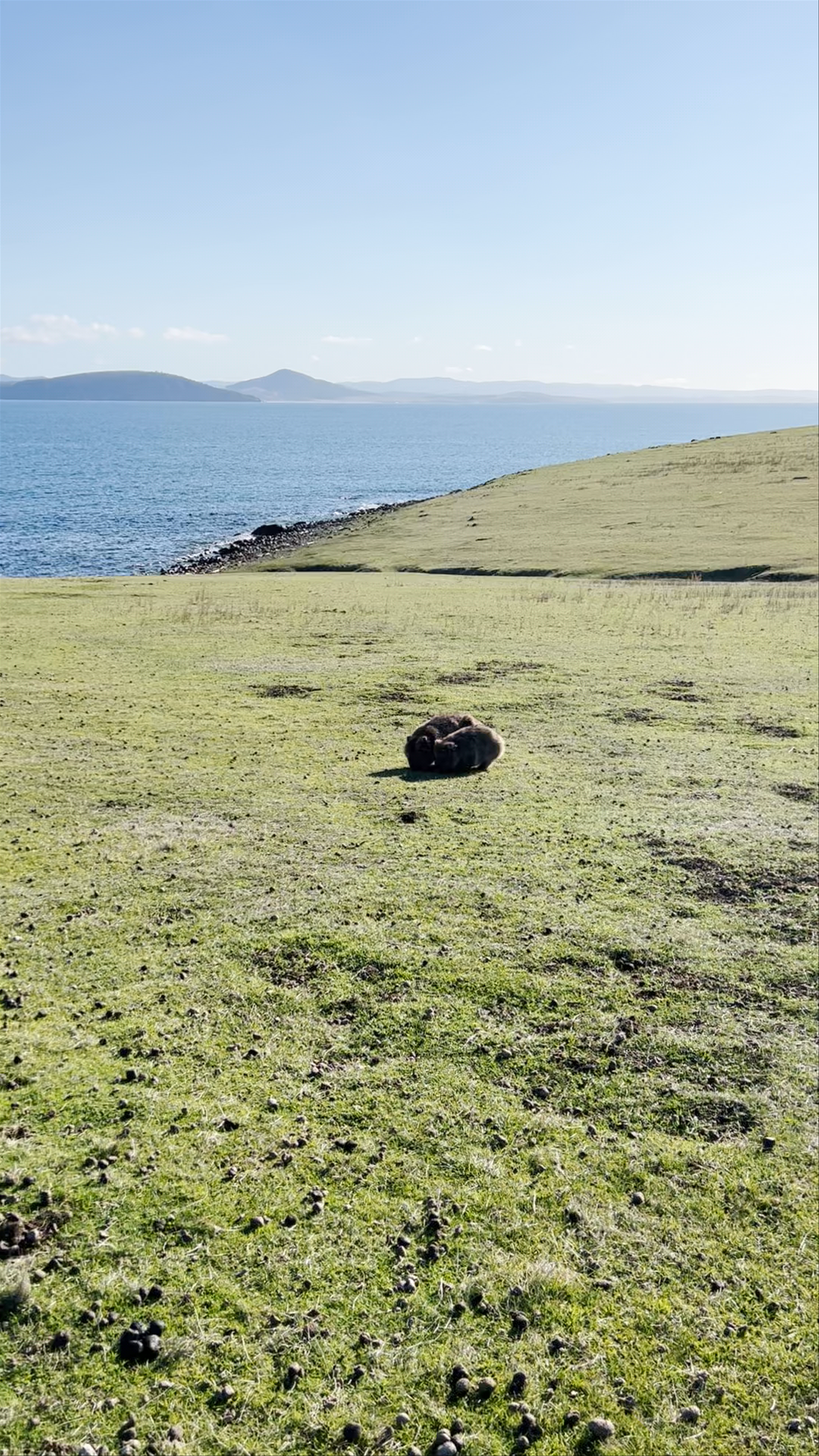 Maria Island National Park