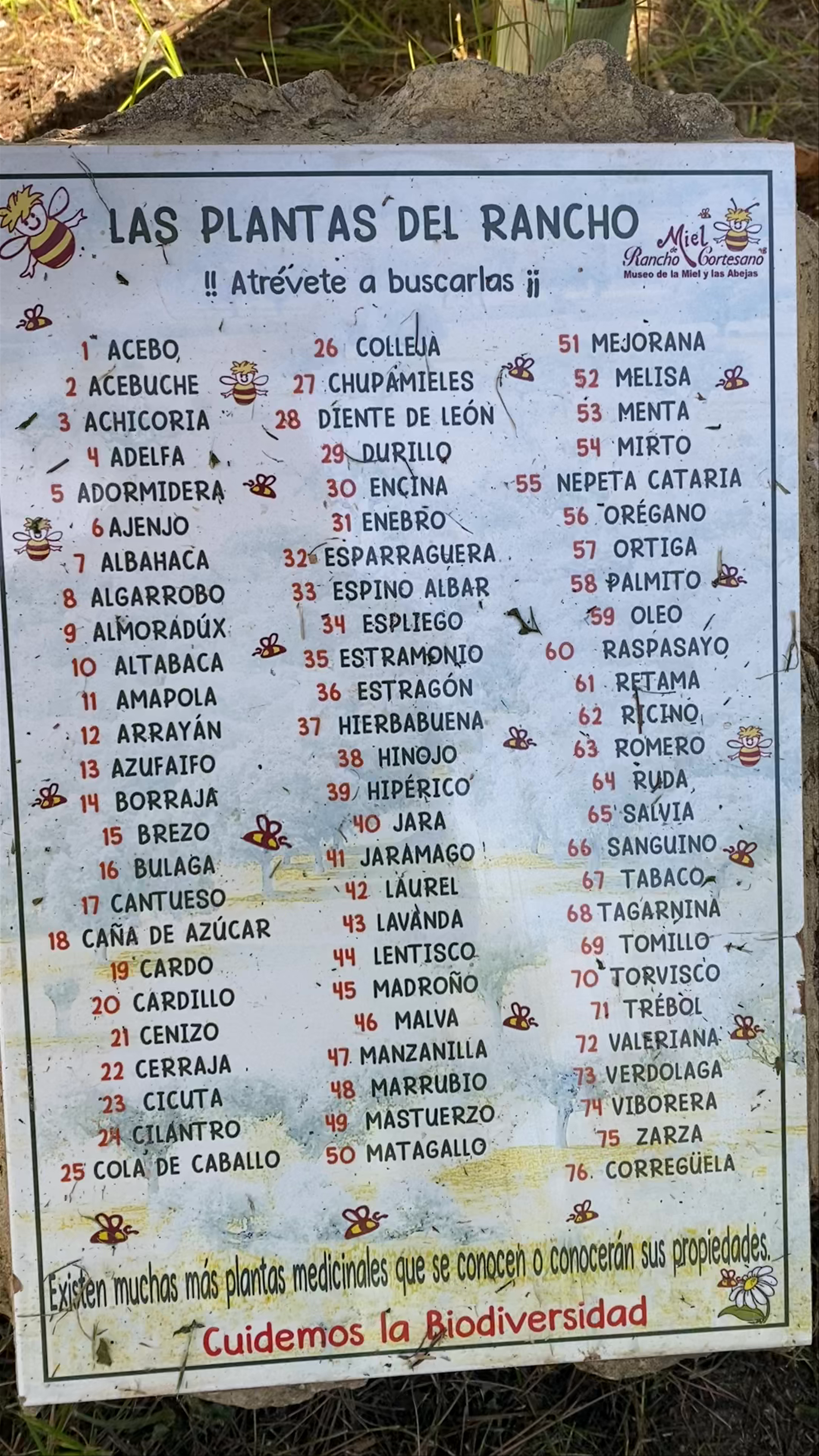 Museo de la Miel y las Abejas Rancho Cortesano